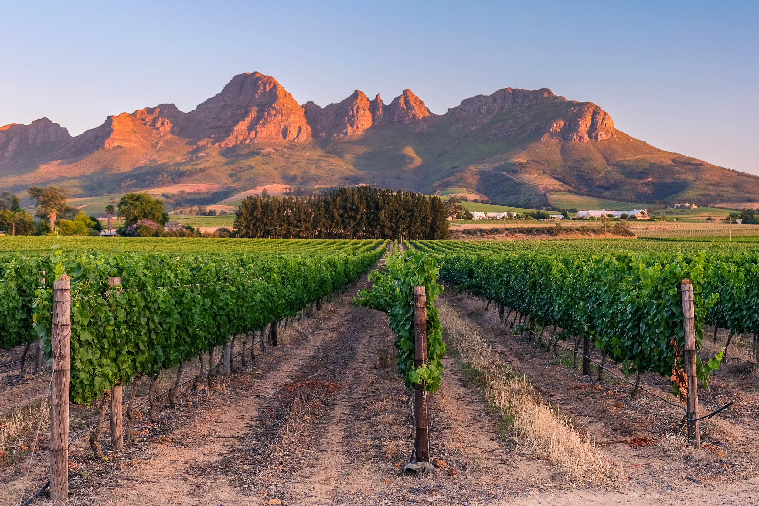 Juhoafrická republika komfortne - vinice, Kapské mesto a safari 40