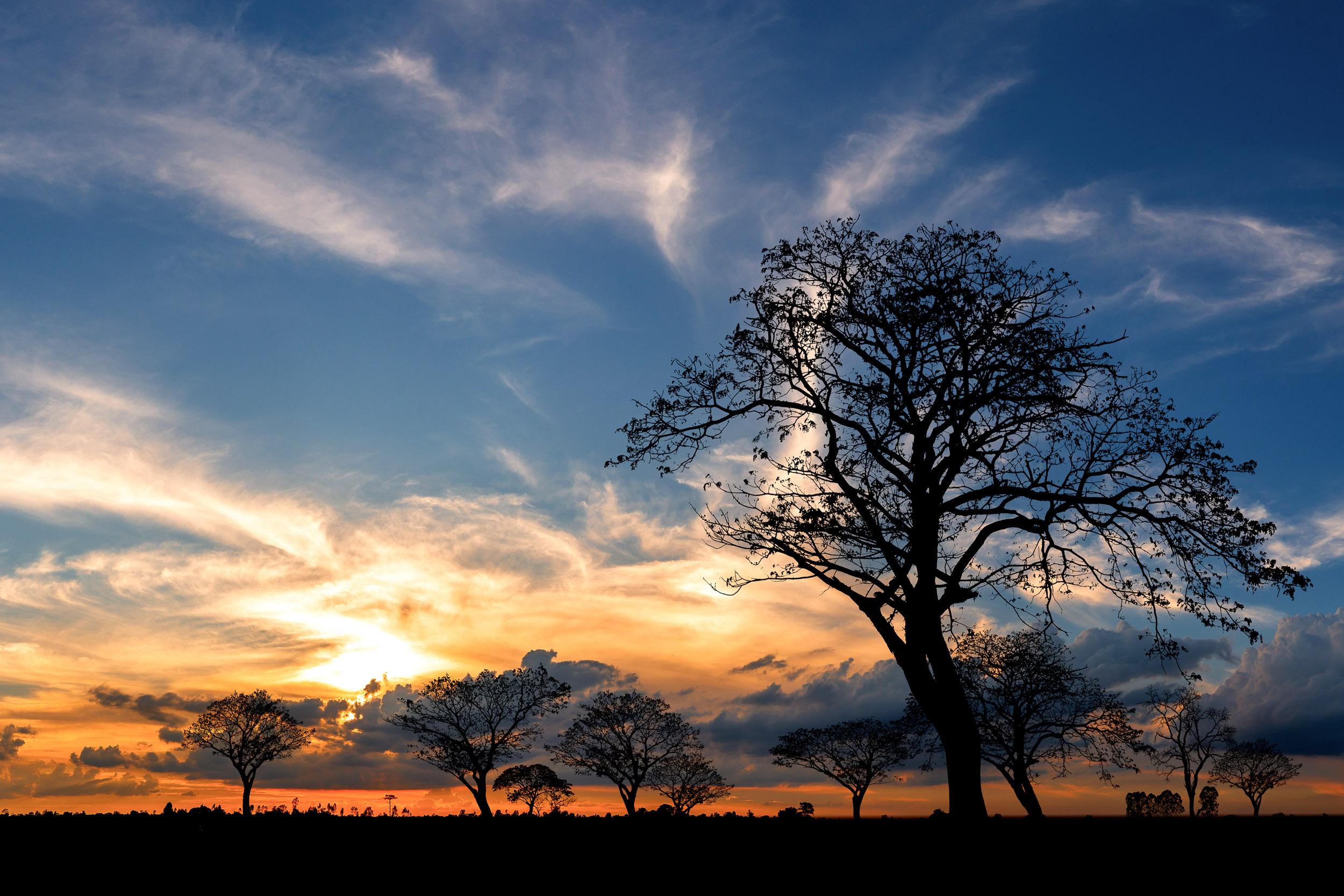 Juhoafrická republika komfortne - vinice, Kapské mesto a safari 41