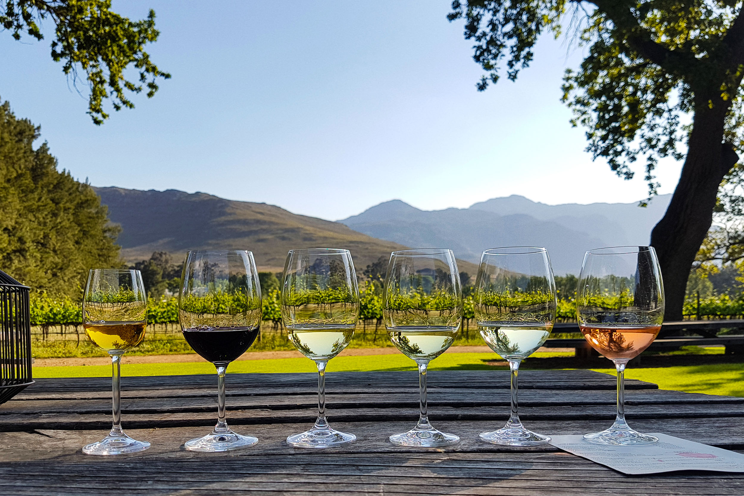 Juhoafrická republika komfortne - vinice, Kapské mesto a safari 7