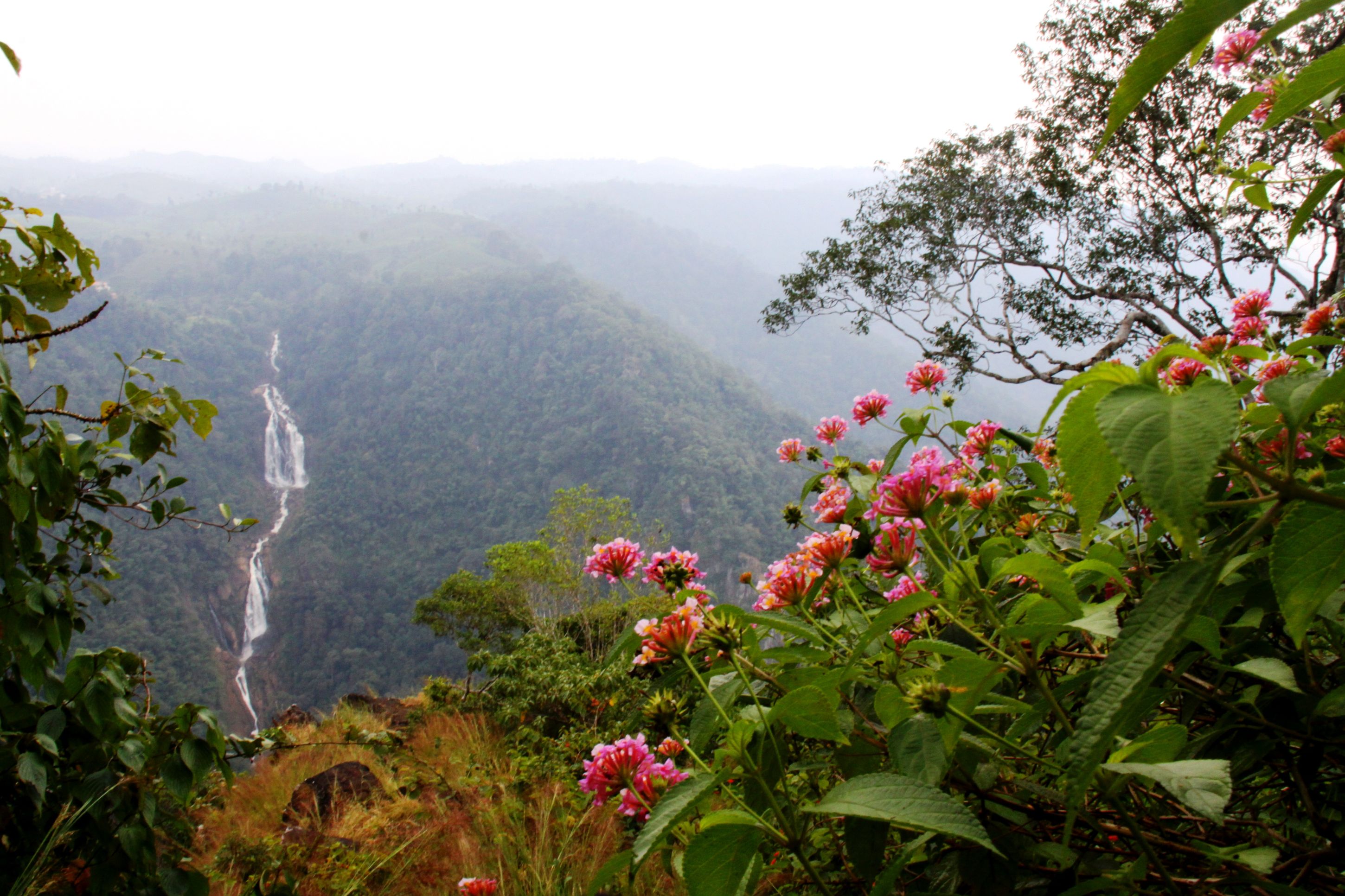 Kerala - zelené srdce Indie 18