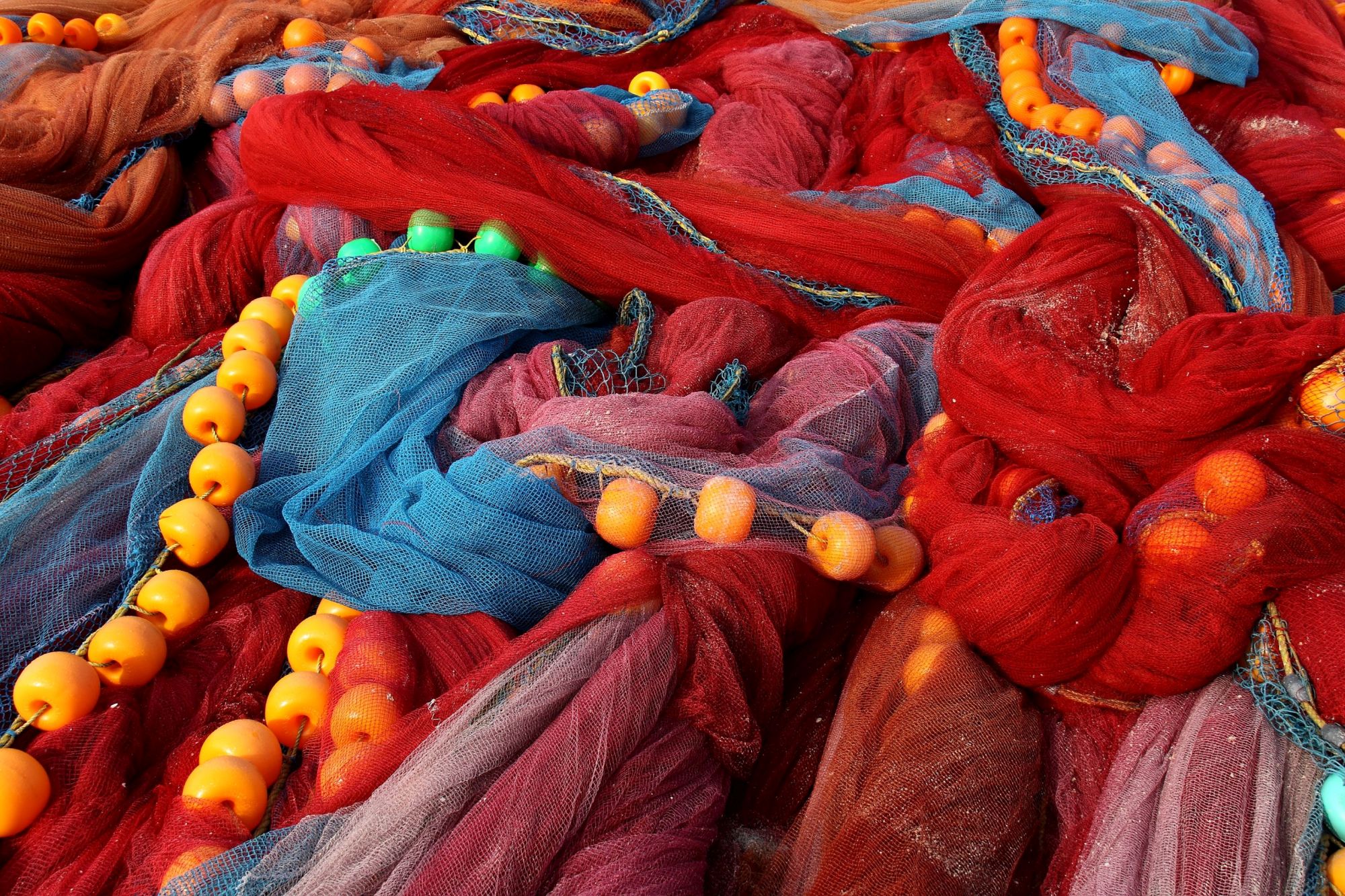 Kerala - zelené srdce Indie 4