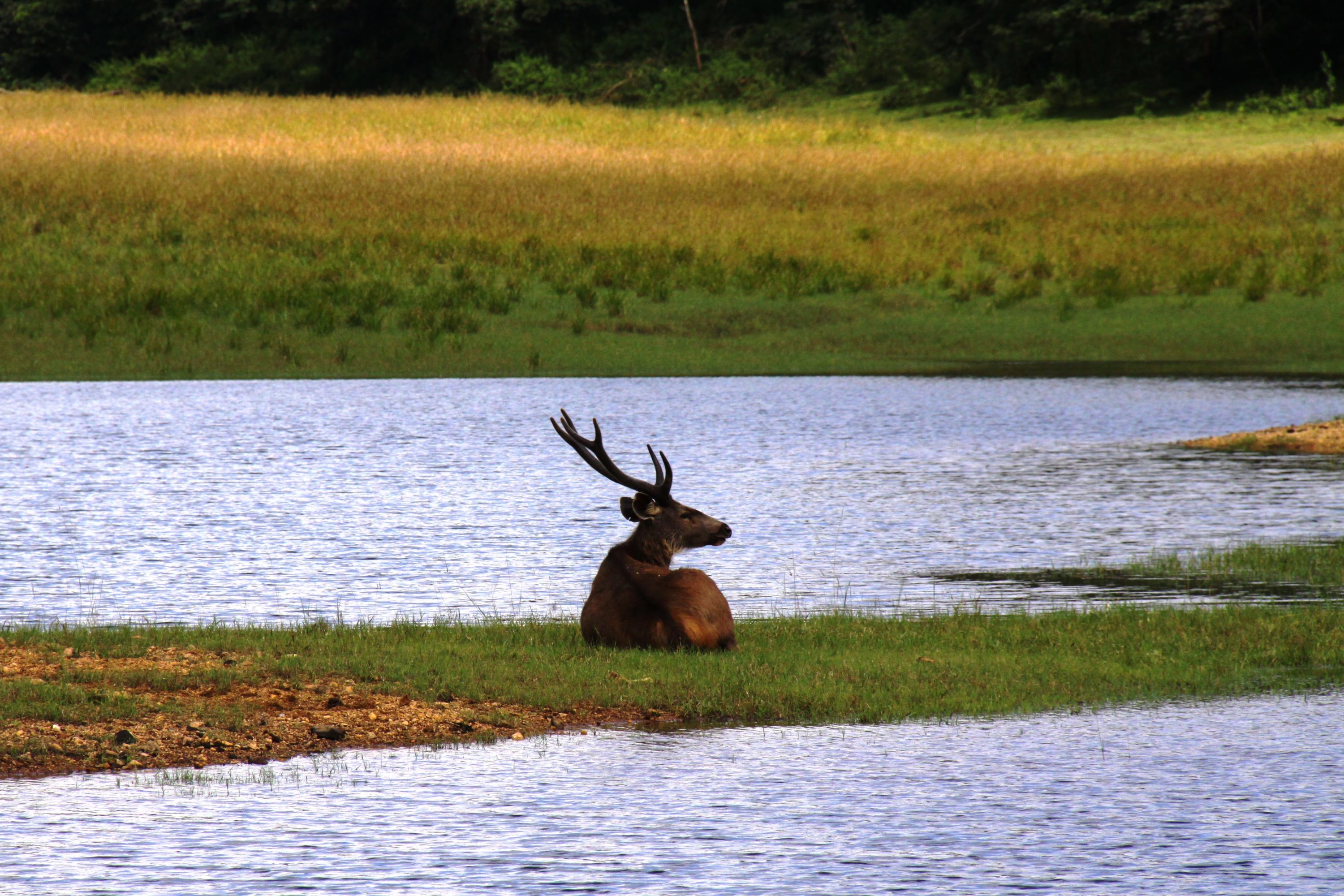 Kerala - zelené srdce Indie 9