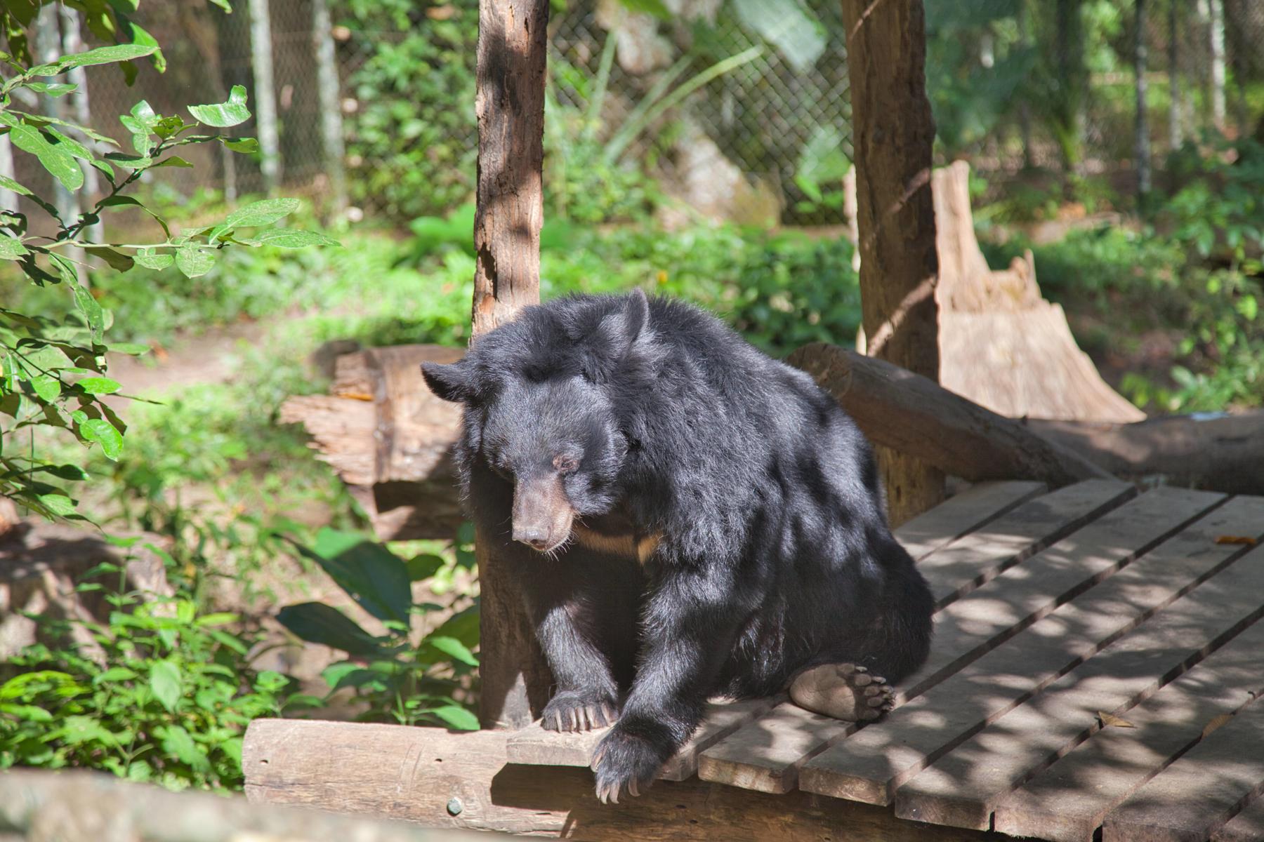 Vietnam, Laos, Kambodža - To najlepšie z Juhovýchodnej Ázie 14