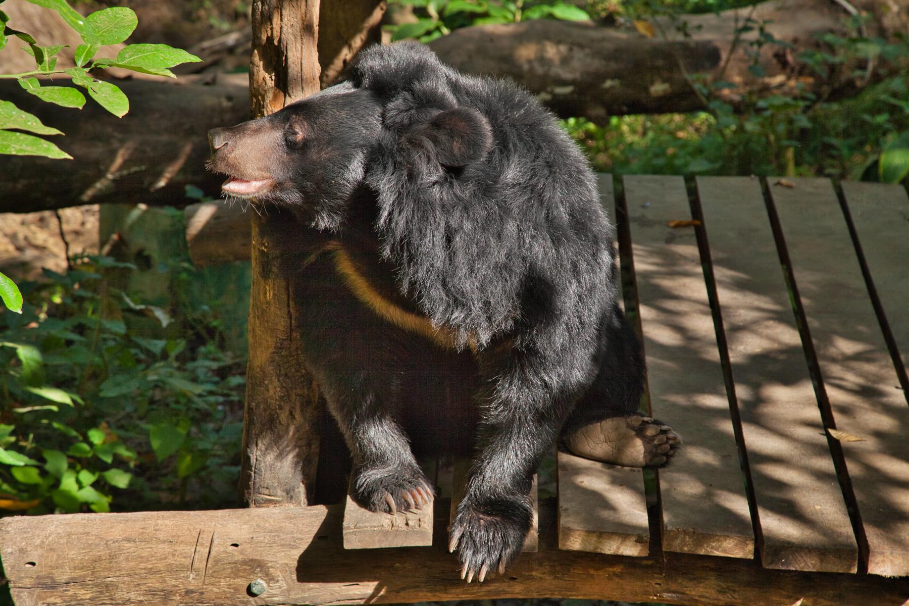 Vietnam, Laos, Kambodža - To najlepšie z Juhovýchodnej Ázie 15