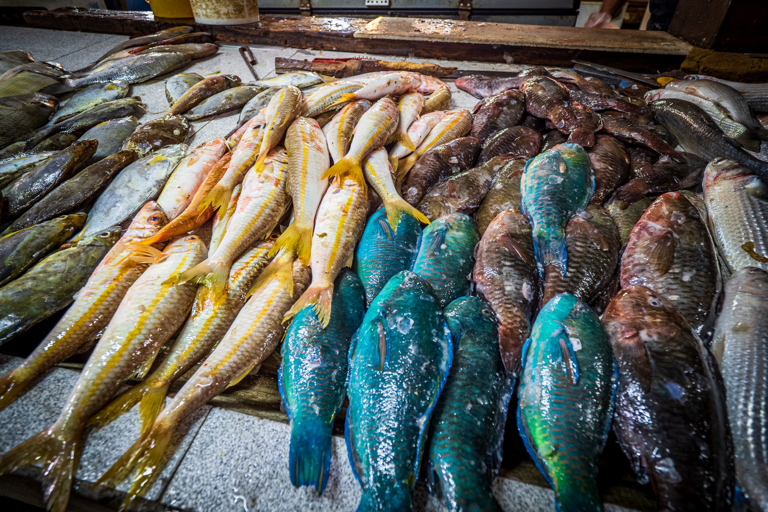 Maurícius - perla Indického oceánu 8
