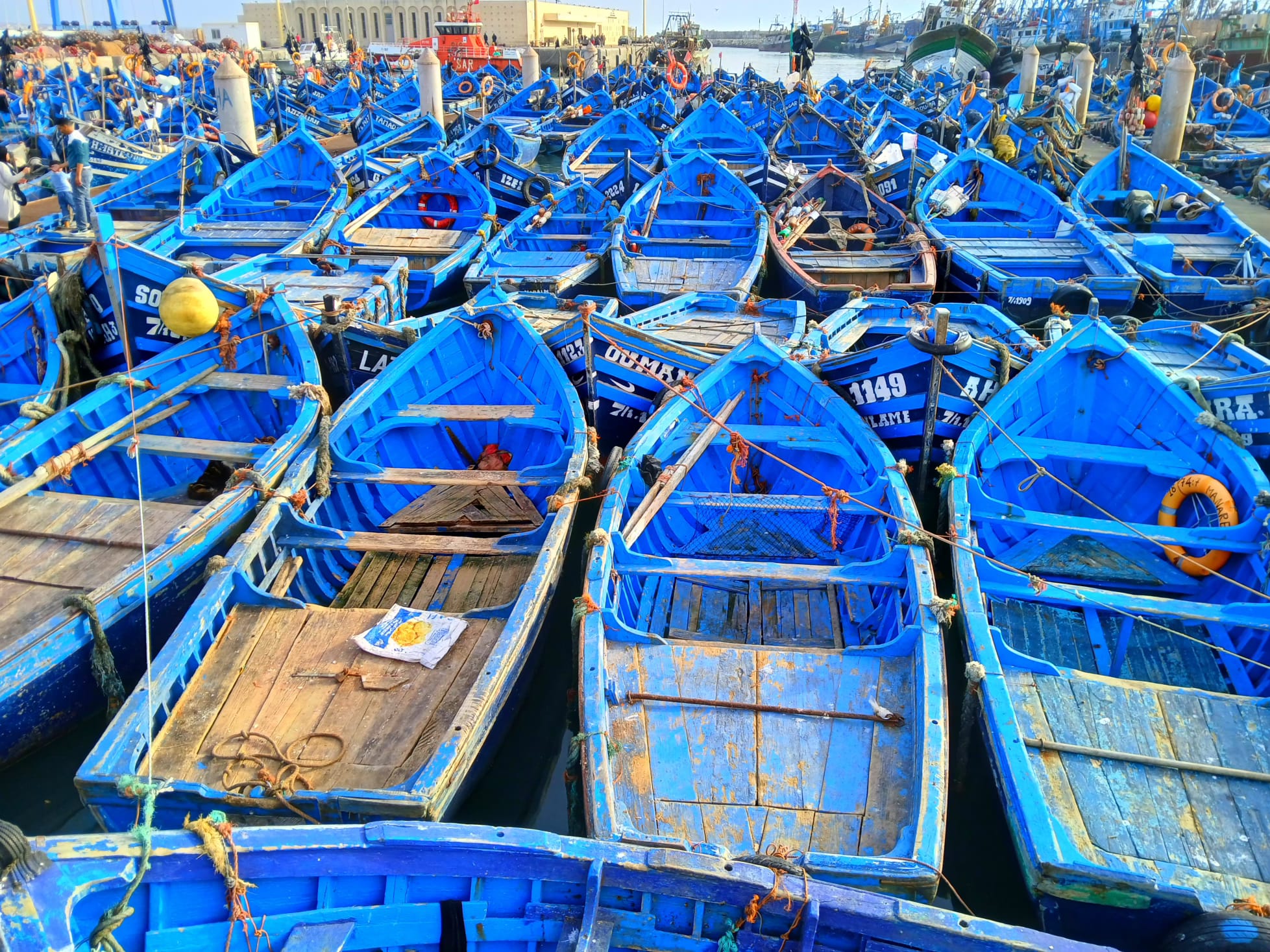 Maroko - kráľovské mestá a pobyt pri mori v Essaouira 13