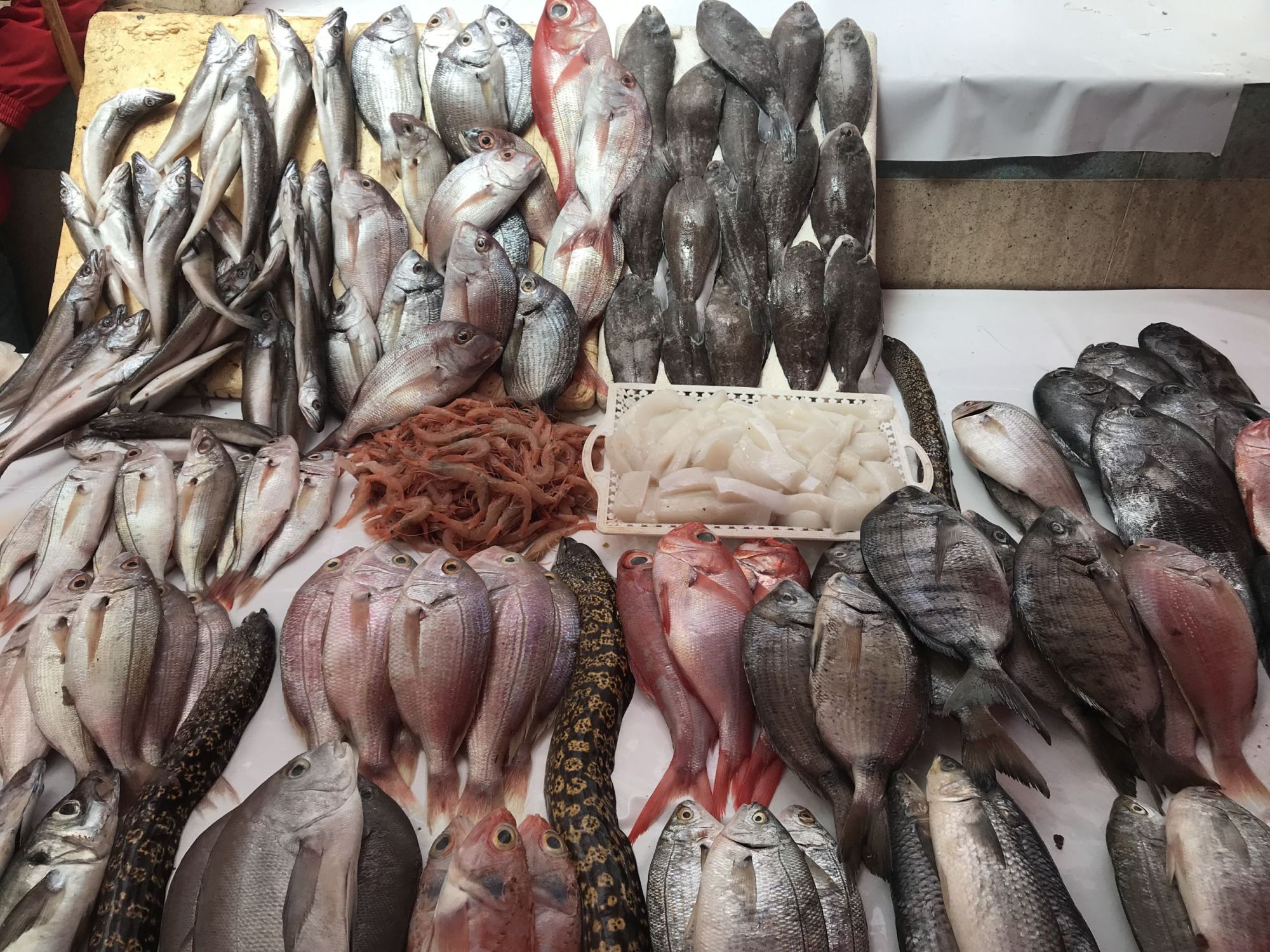 Maroko - kráľovské mestá a pobyt pri mori v Essaouira 4