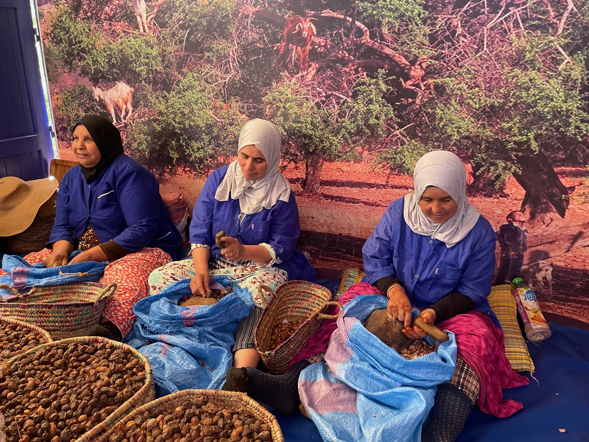 Maroko - tisíc a jedna noc v marockých rijádoch 29