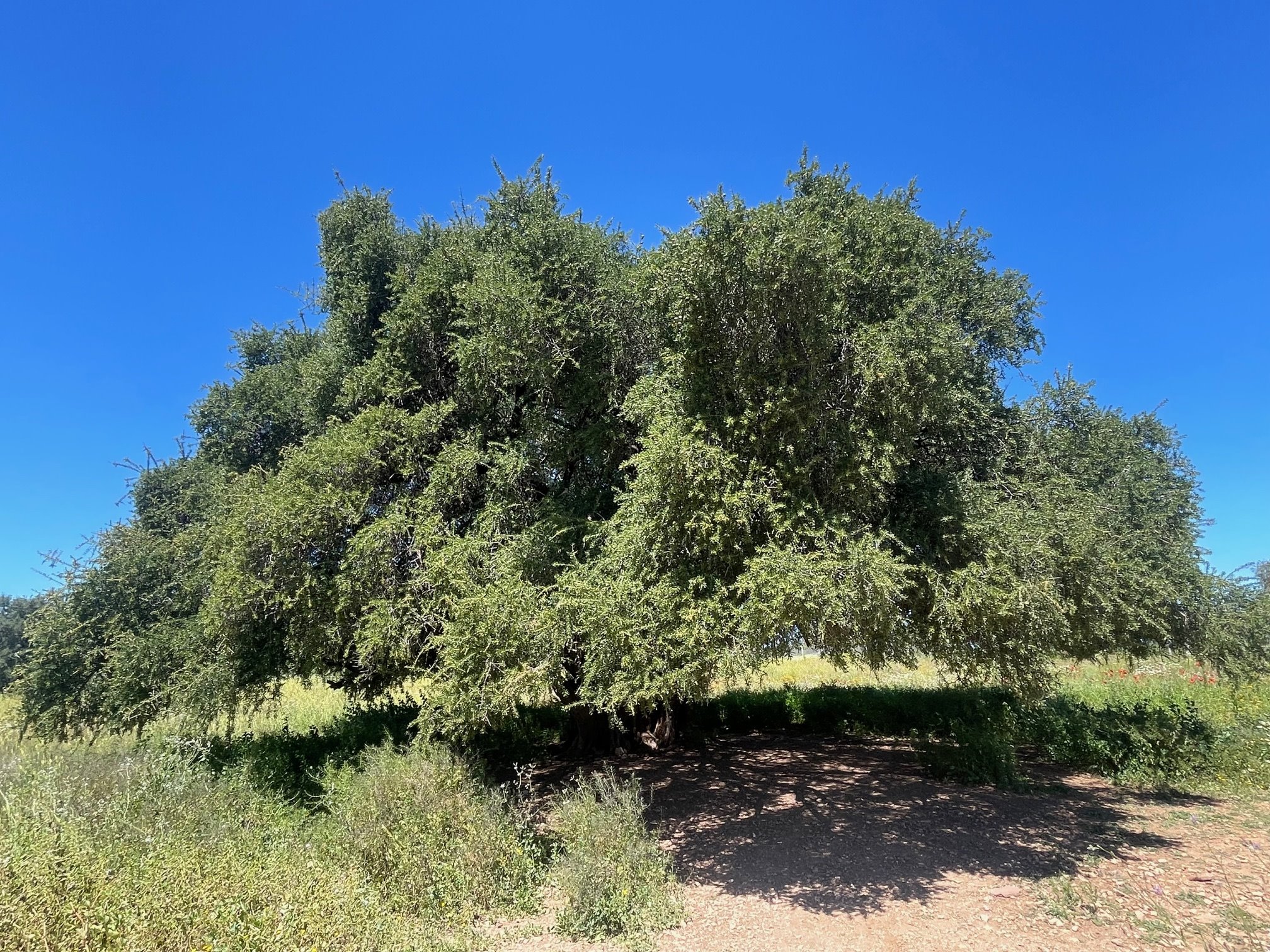 Maroko - tisíc a jedna noc v marockých rijádoch 30
