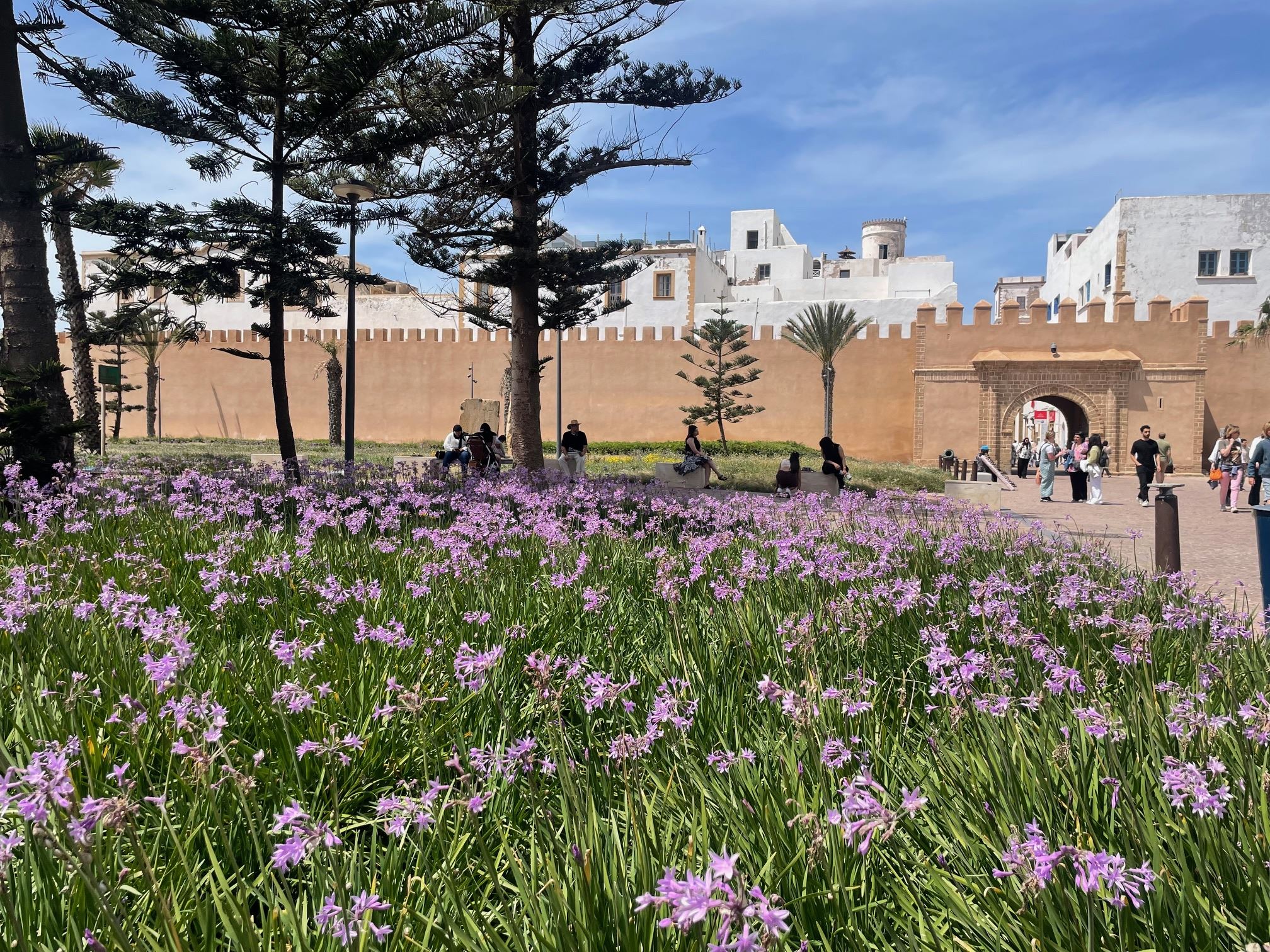 Maroko - tisíc a jedna noc v marockých rijádoch 14