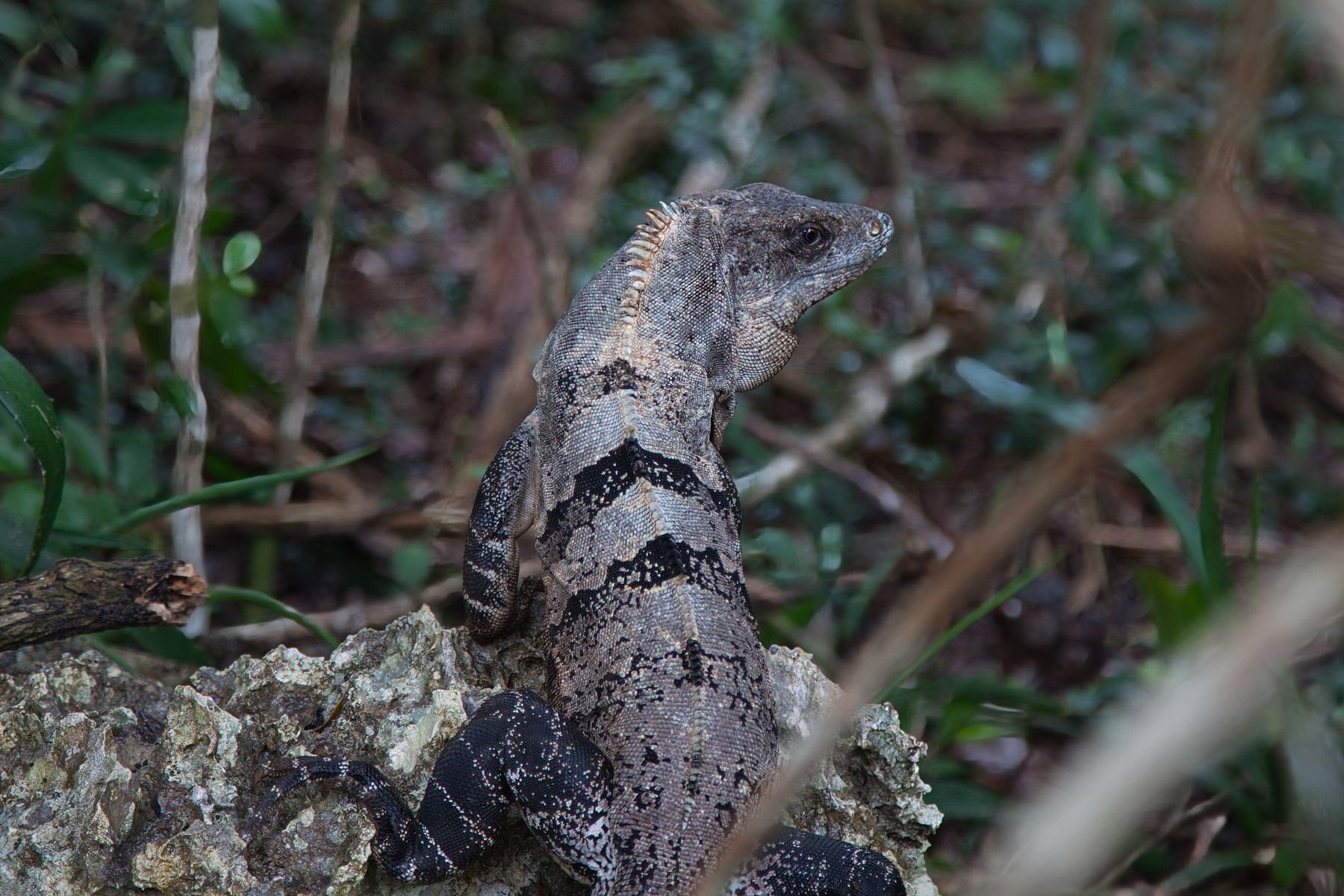 Mexiko - Od Aztékov po Karibik 22