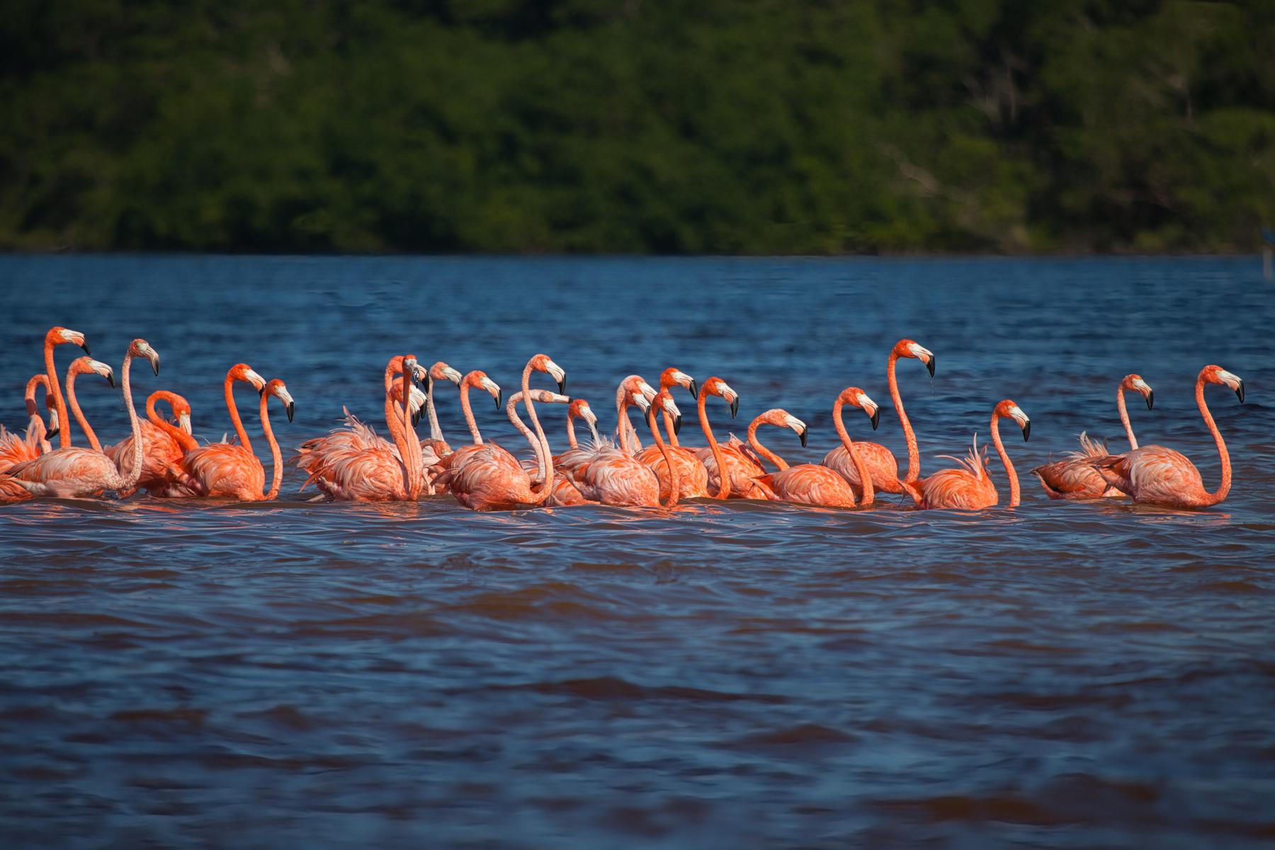 Mexiko - Od Aztékov po Karibik 24
