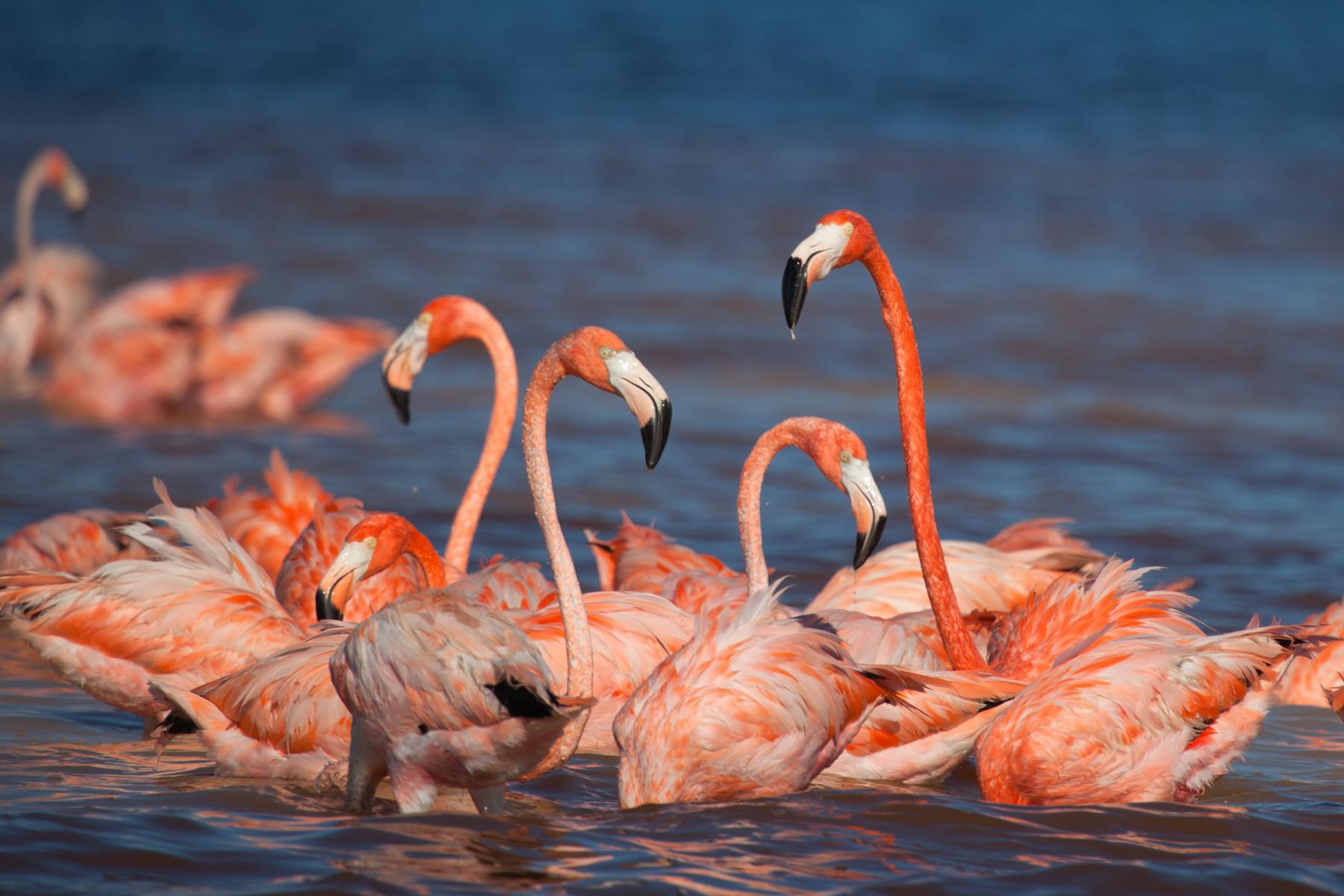 Mexiko - Od Aztékov po Karibik 13