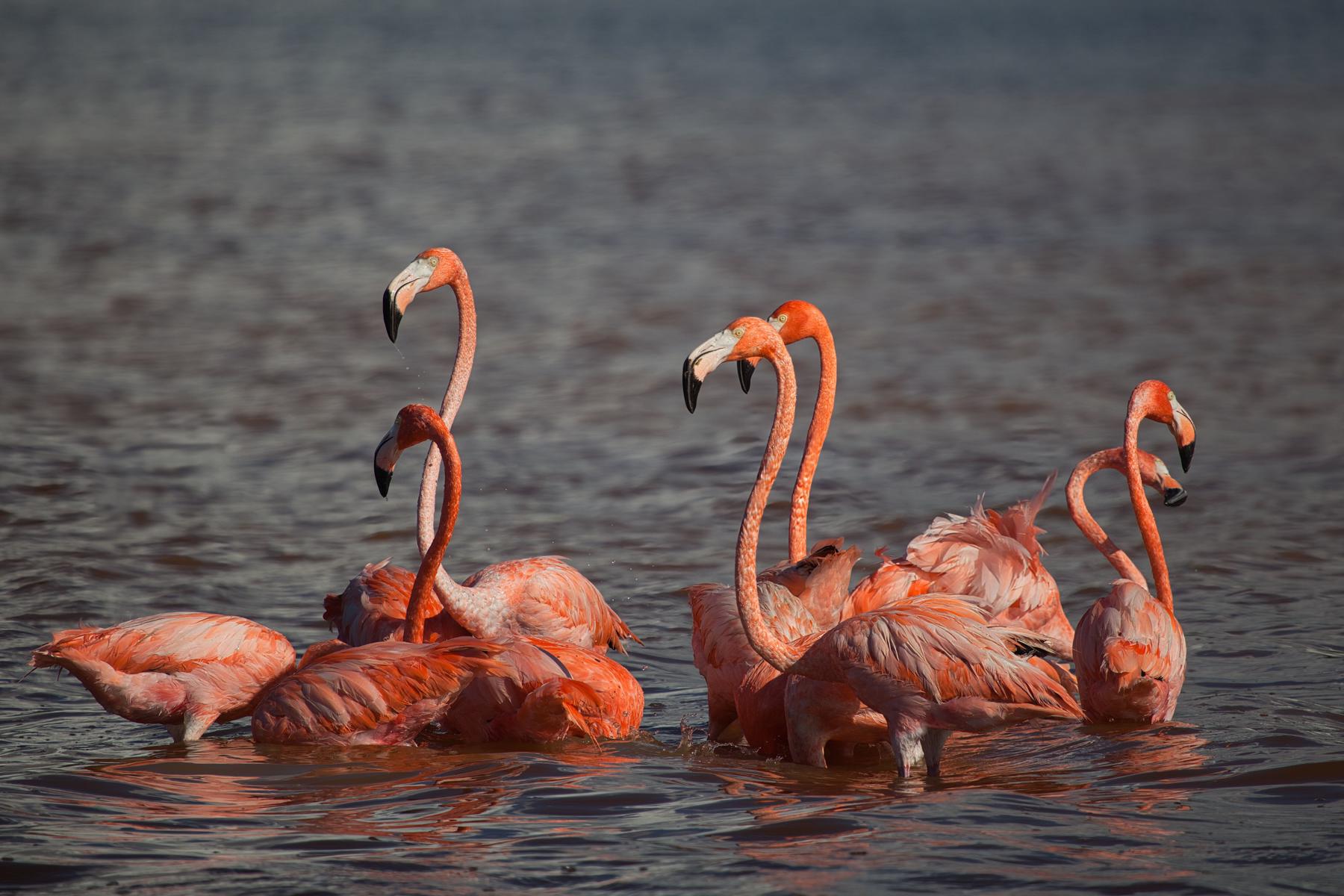 Mexiko - Od Aztékov po Karibik 23