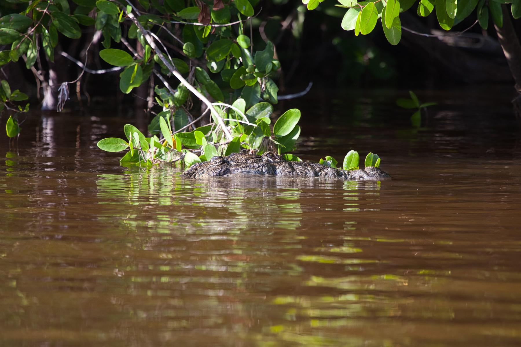 Mexiko - Od Aztékov po Karibik 16