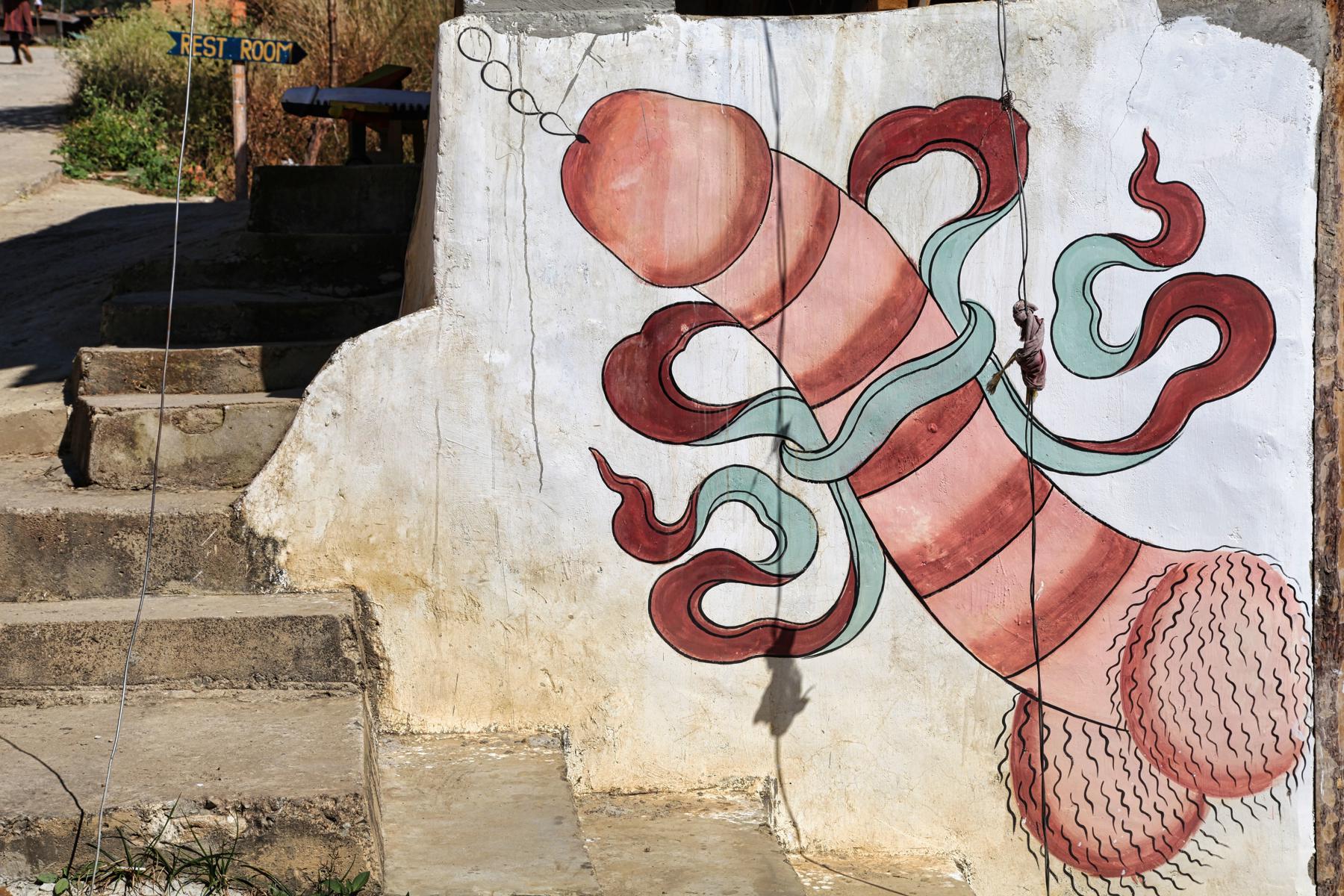 Bhután, Nepál, India - Šangri La a Taj Mahal 7