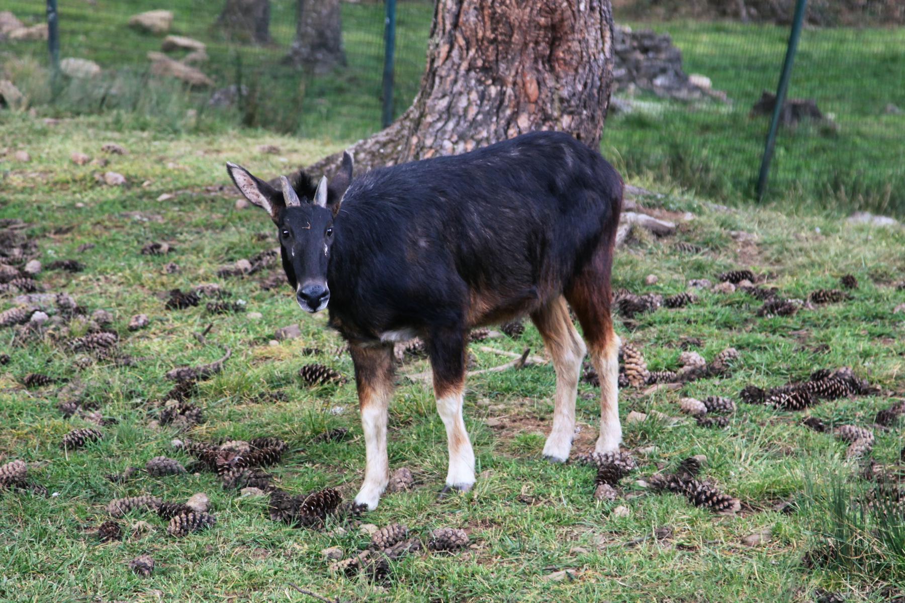 Bhután, Nepál, India - Šangri La a Taj Mahal 11