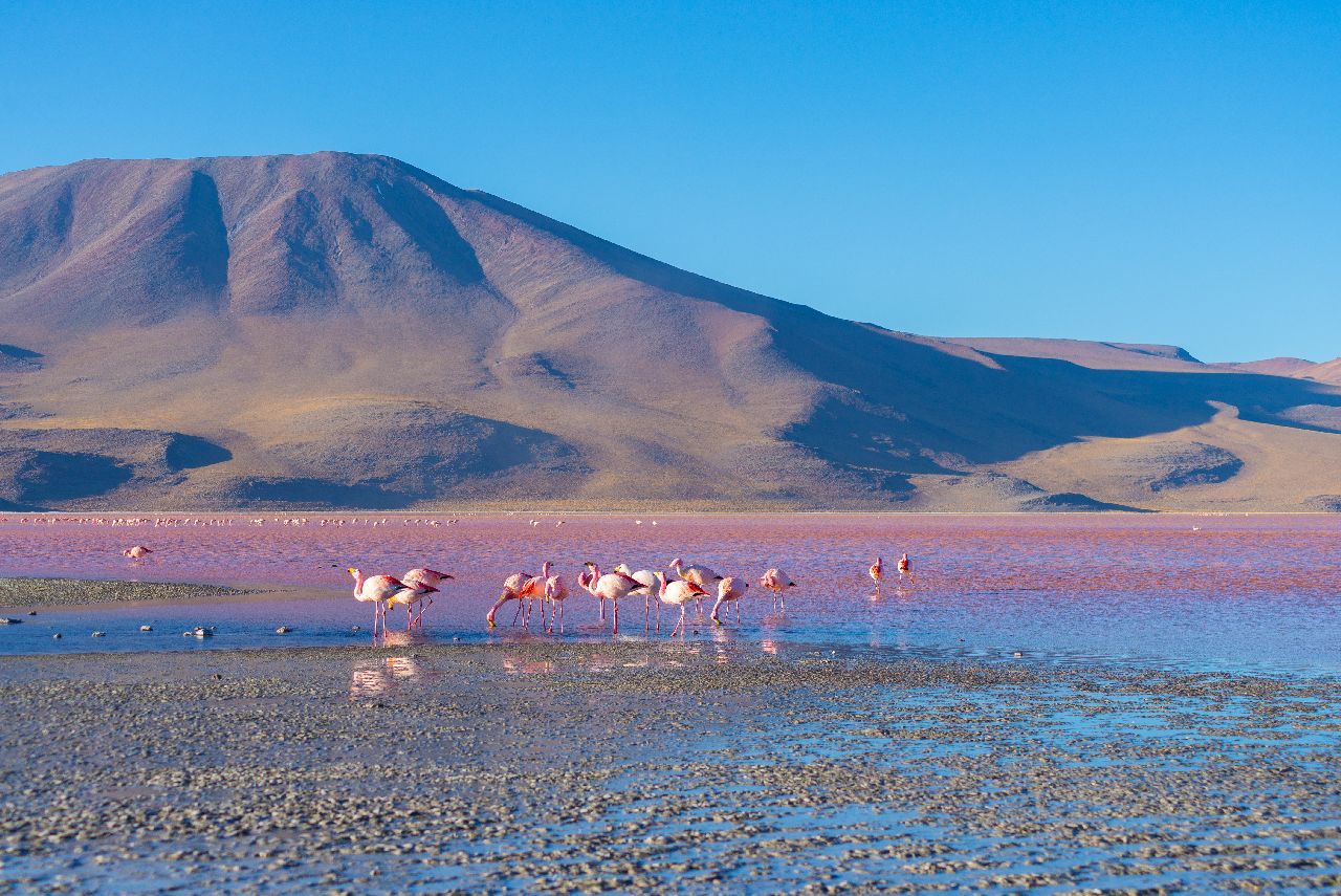 Peru, Bolívia, Čile - Inkovia, Andy a púšť Atacama 10