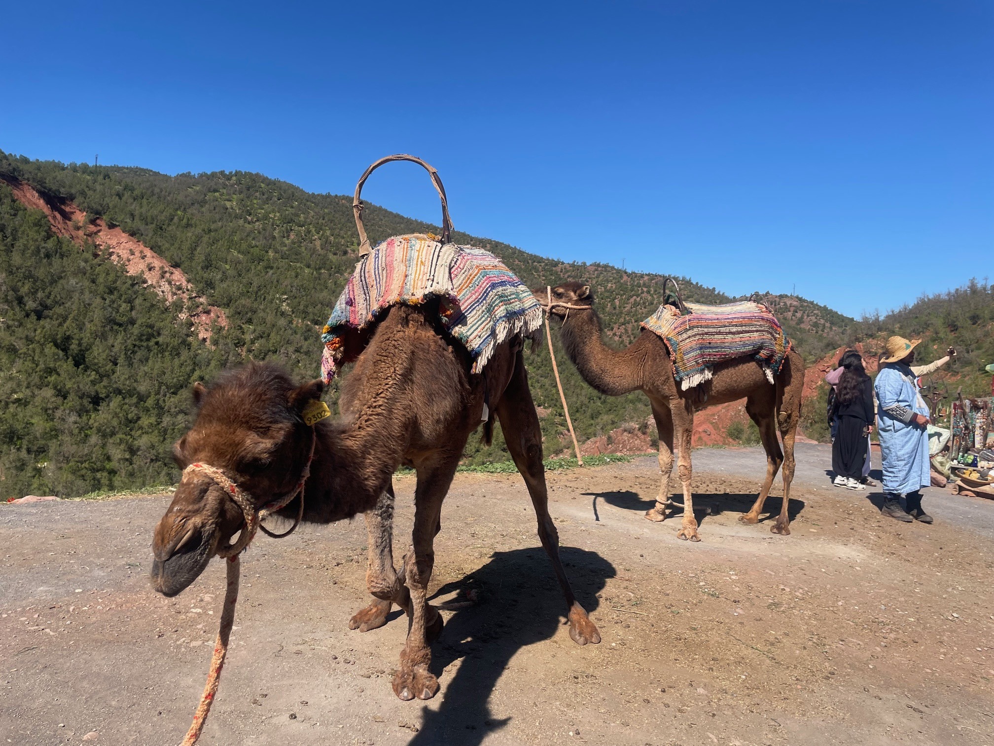 Maroko Family Fun – zážitková rozprávka s animátorom Planet Fun 2