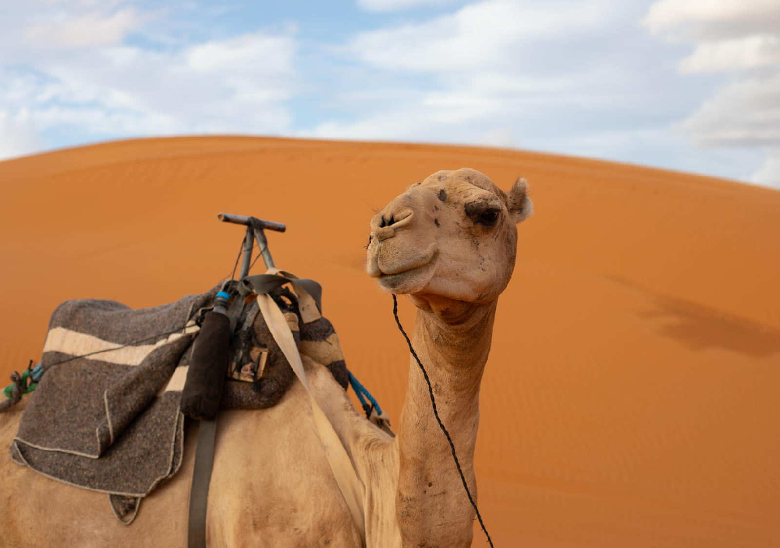 Maroko Family Fun – zážitková rozprávka s animátorom Planet Fun 13