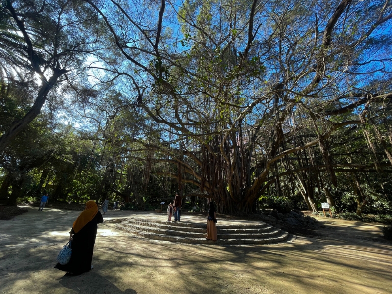 Alžírsko - dych púšte, hlas Stredomoria 27