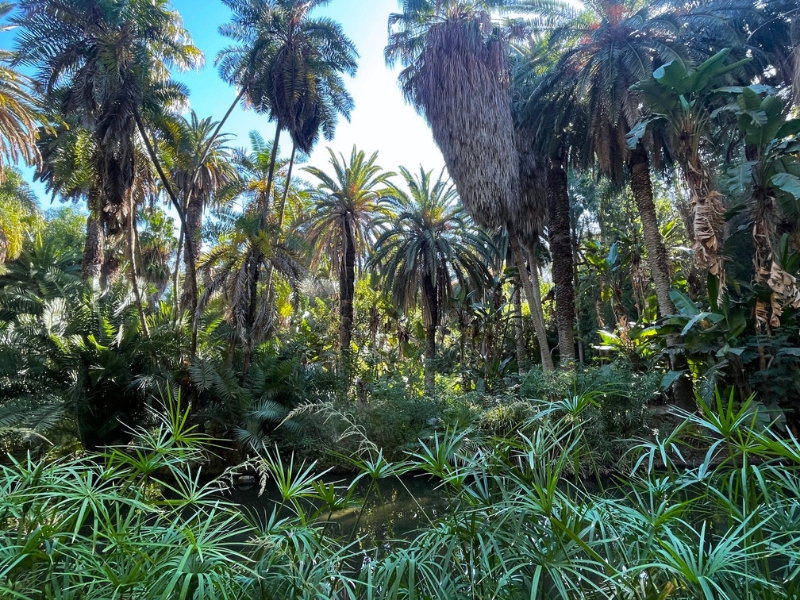 Alžírsko - dych púšte, hlas Stredomoria 28