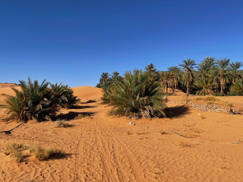 Alžírsko - dych púšte, hlas Stredomoria 43