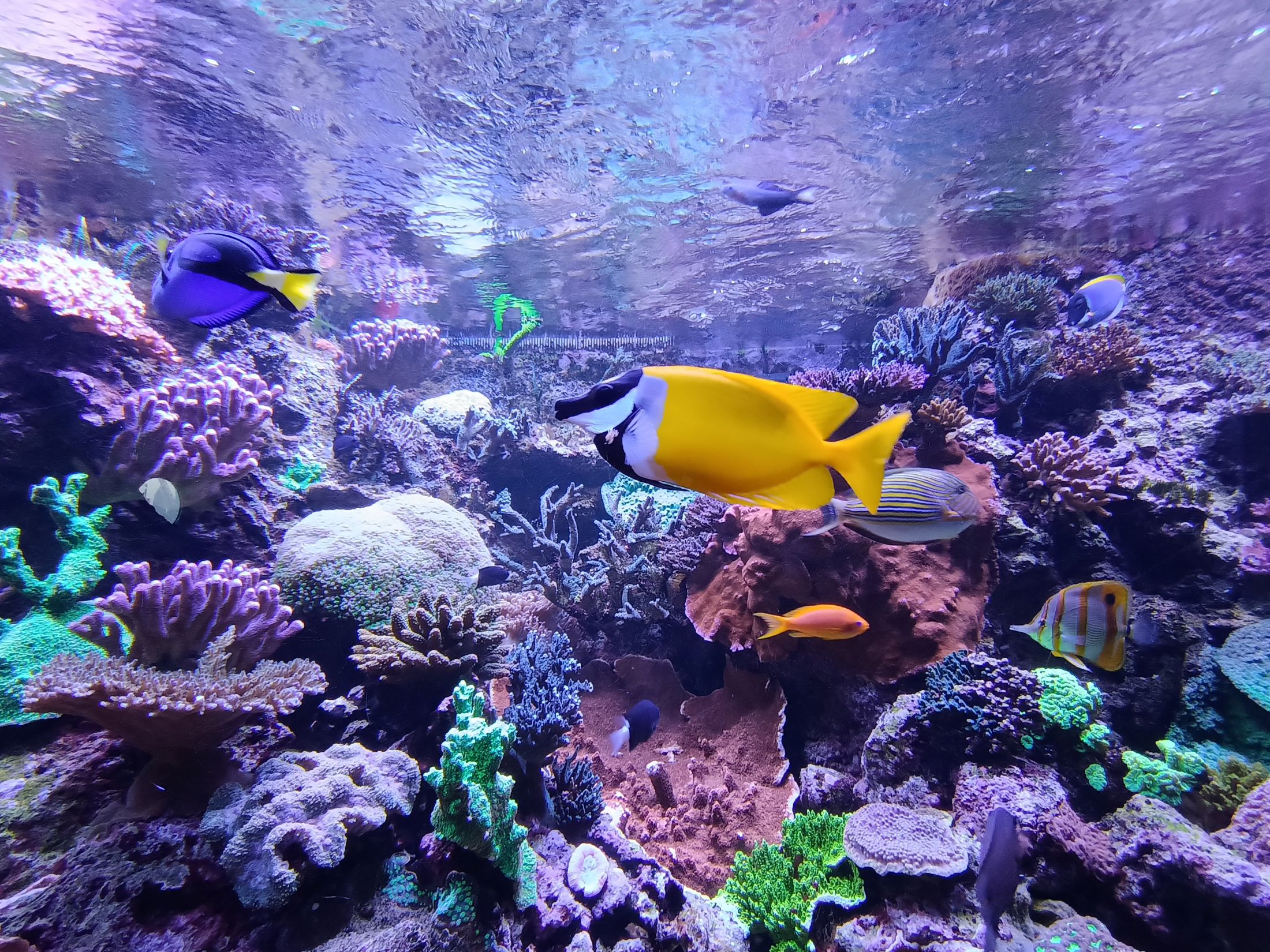 Gdaňsk - perla Baltiku 8