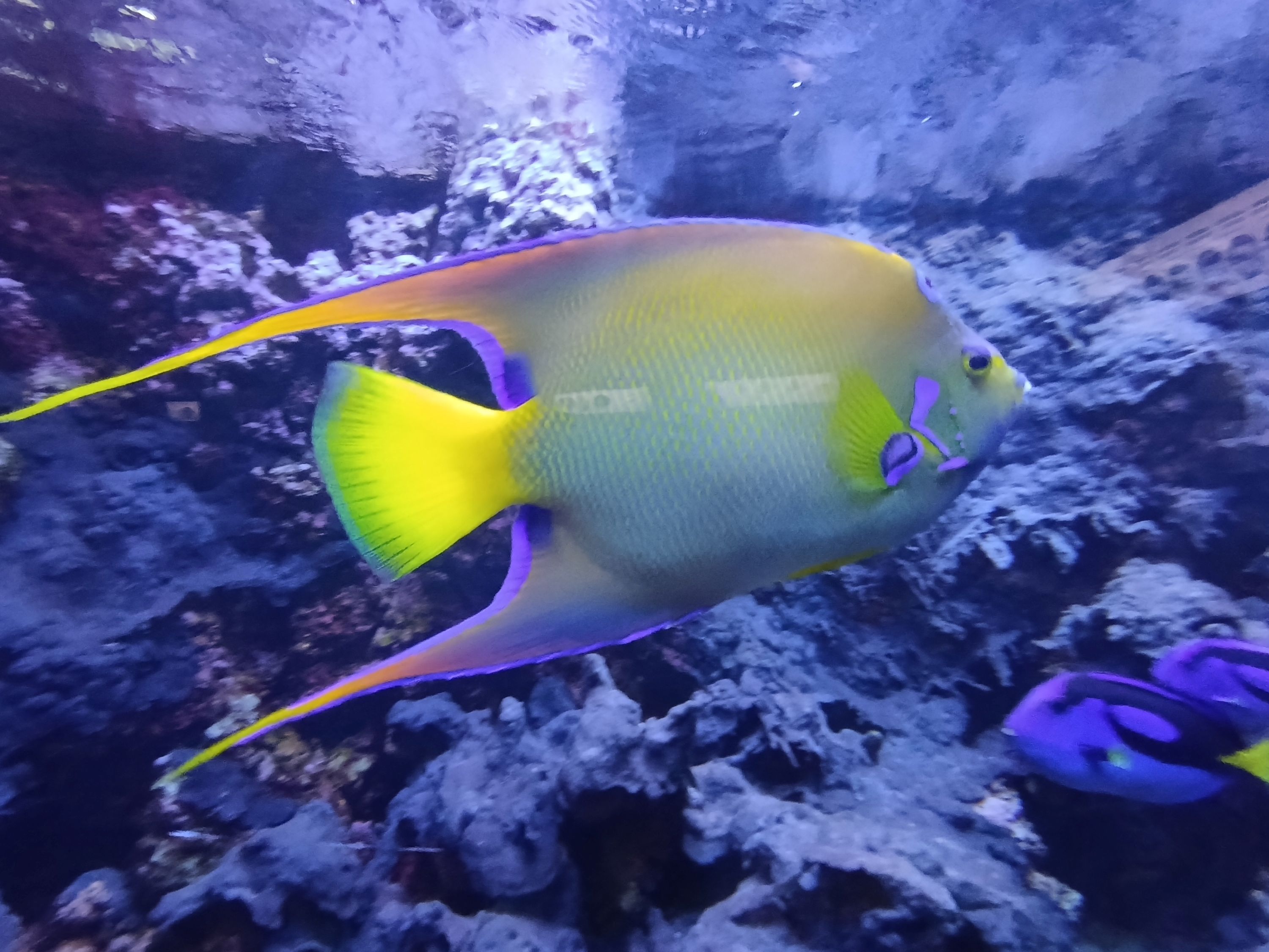 Gdaňsk - perla Baltiku 9