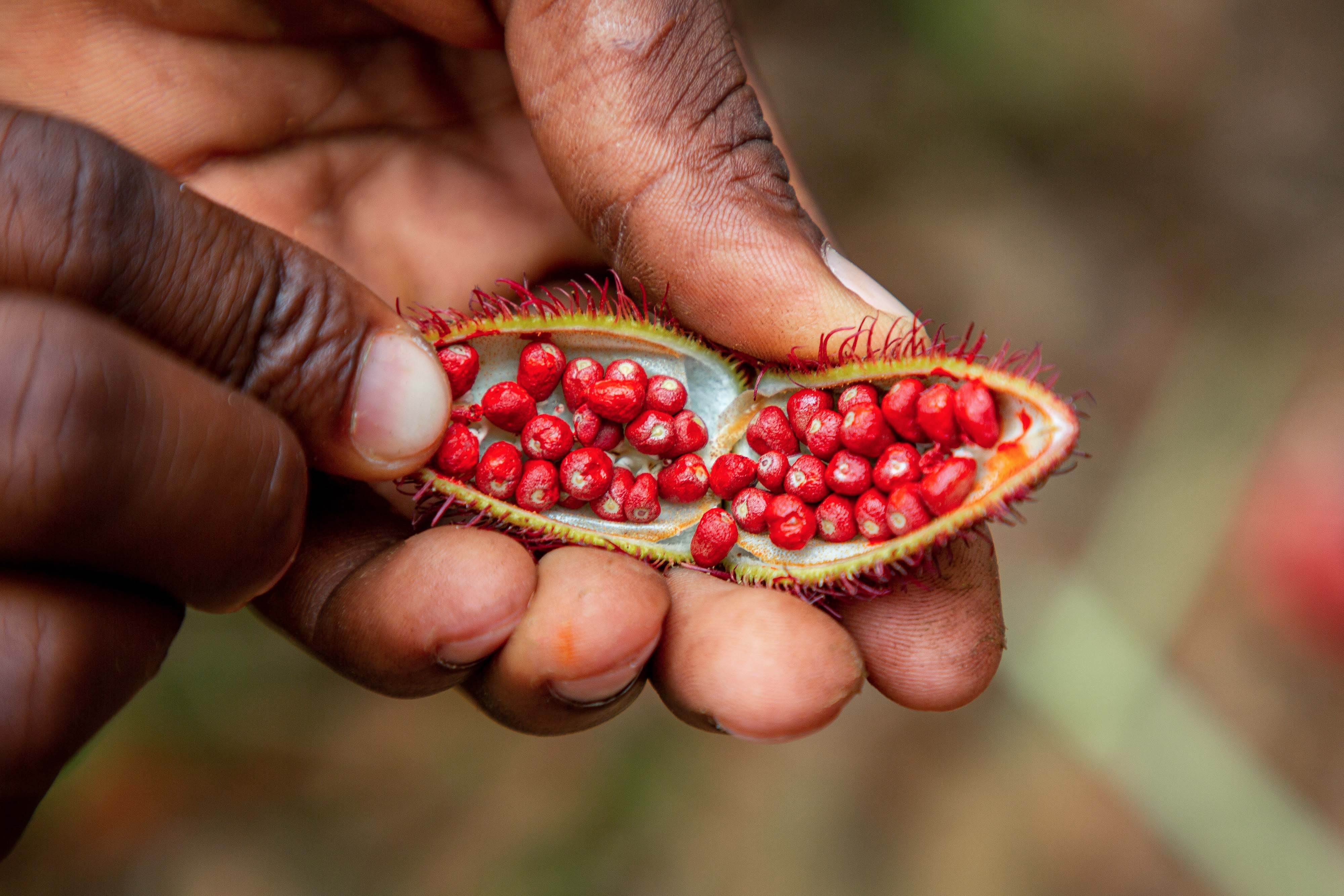 Zanzibar All Inclusive a safari v NP Serengeti a Ngorongoro 17