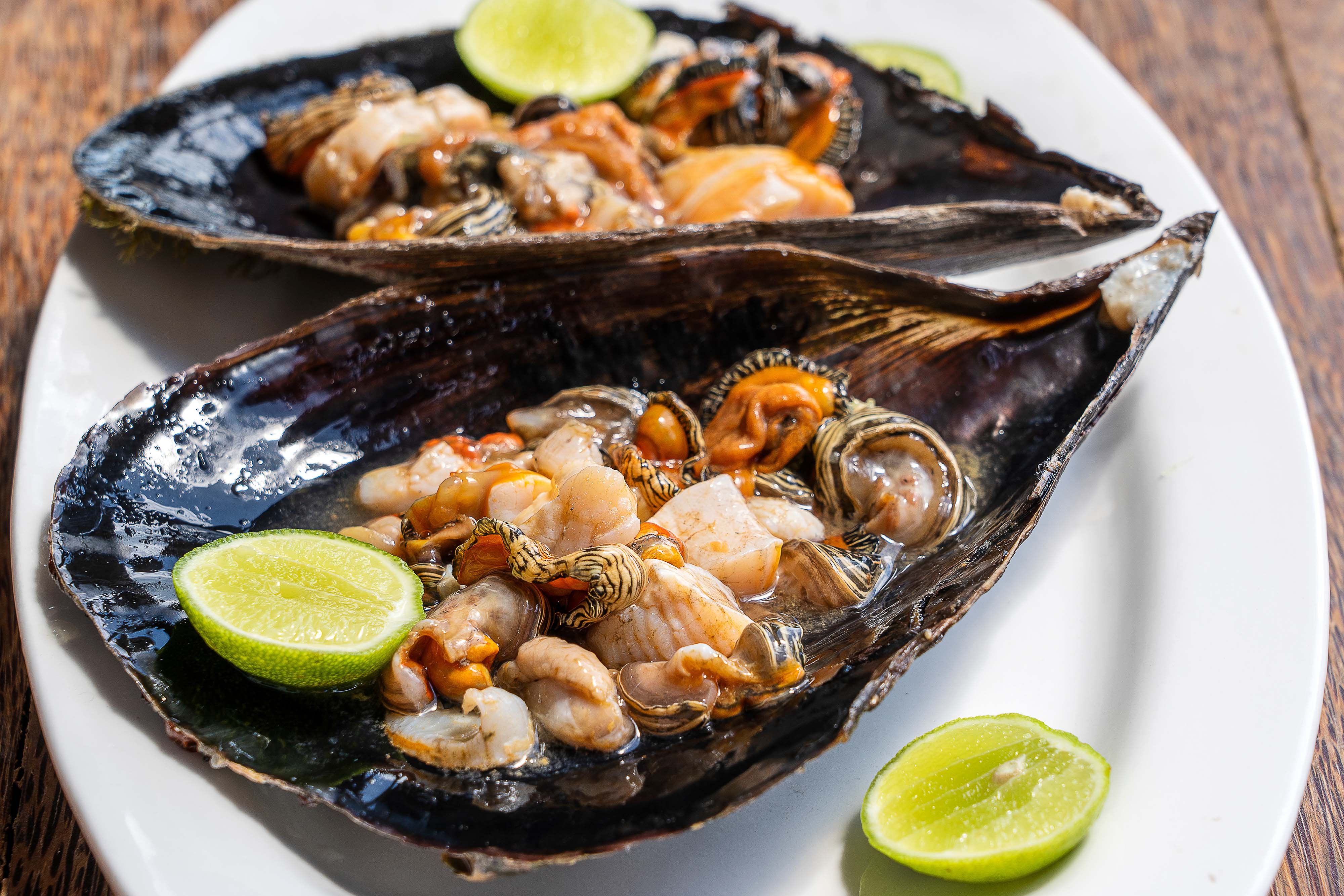 Zanzibar All Inclusive a safari v NP Serengeti a Ngorongoro 16