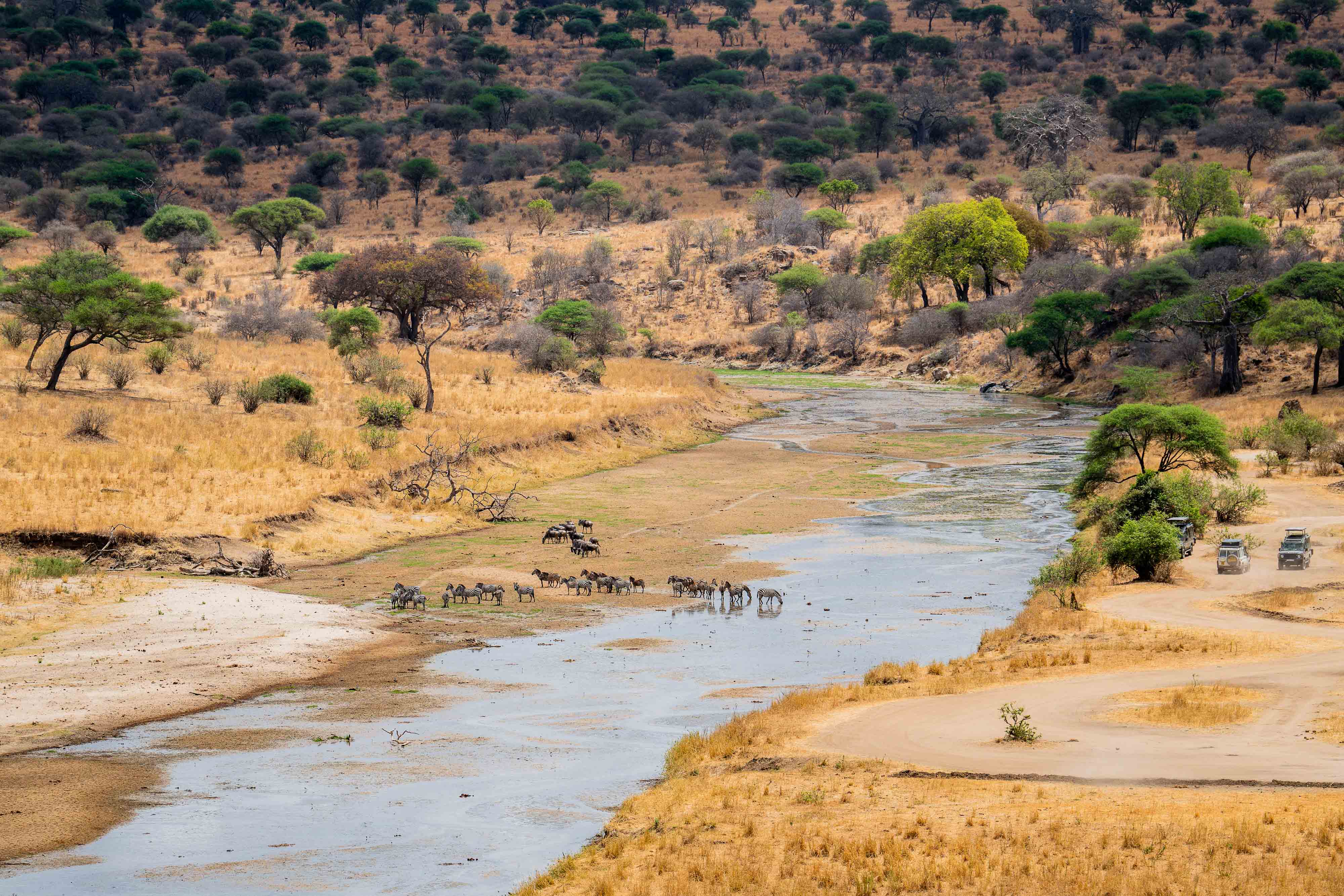 Zanzibar All Inclusive a safari v NP Serengeti a Ngorongoro 50