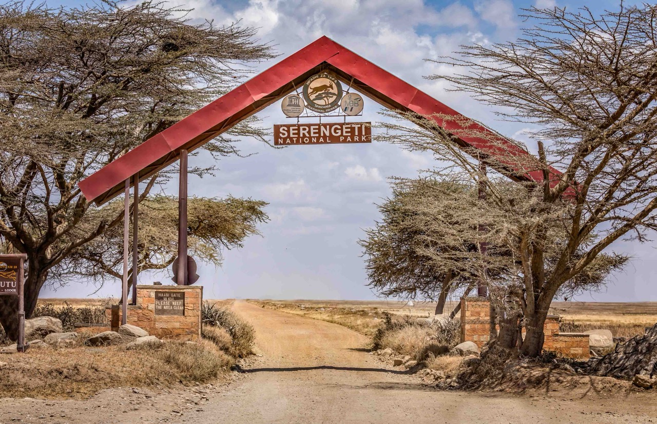 Zanzibar All Inclusive a safari v NP Serengeti a Ngorongoro 22