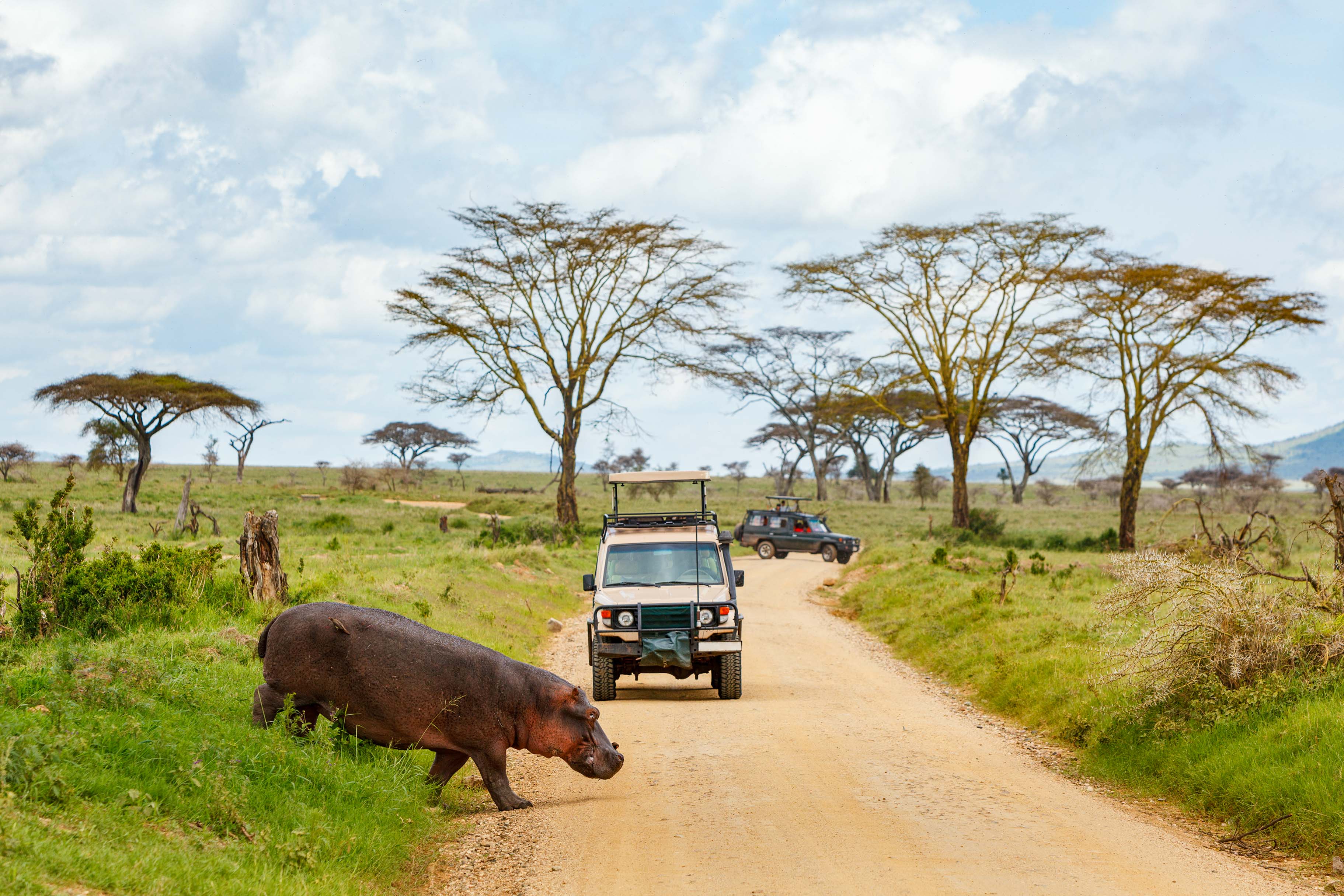 Zanzibar All Inclusive a safari v NP Serengeti a Ngorongoro 26