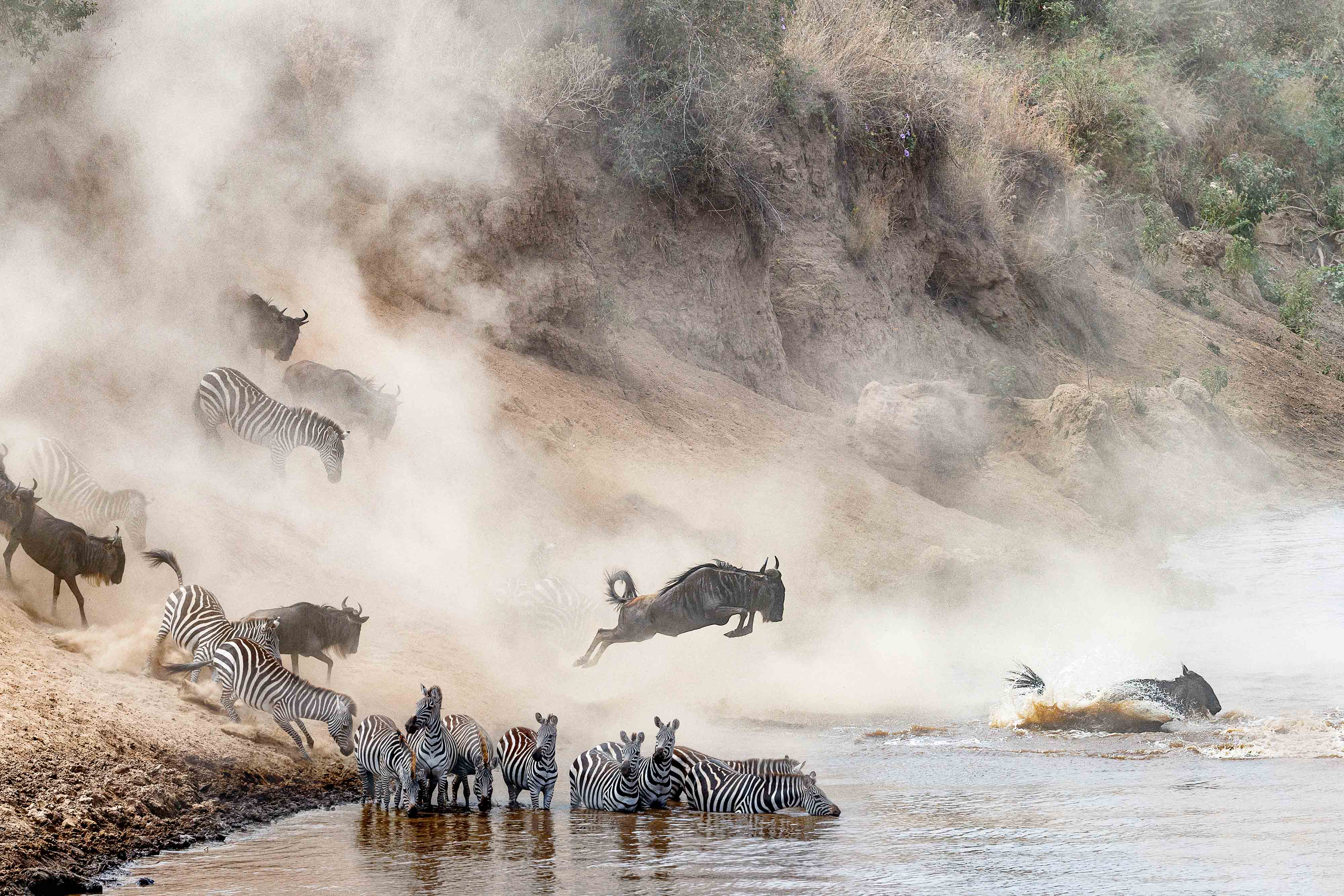 Zanzibar All Inclusive a safari v NP Serengeti a Ngorongoro 28
