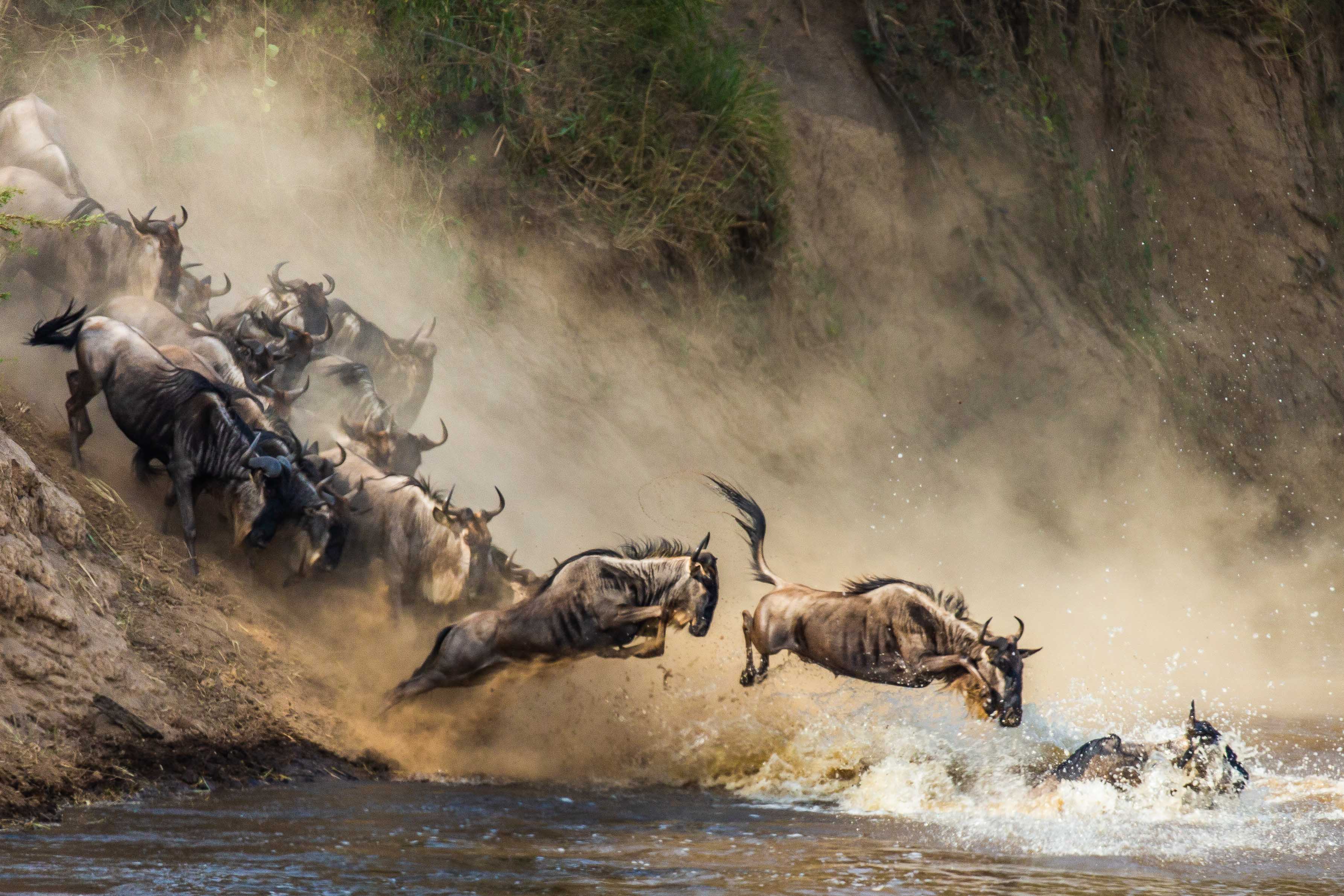 Zanzibar All Inclusive a safari v NP Serengeti a Ngorongoro 58