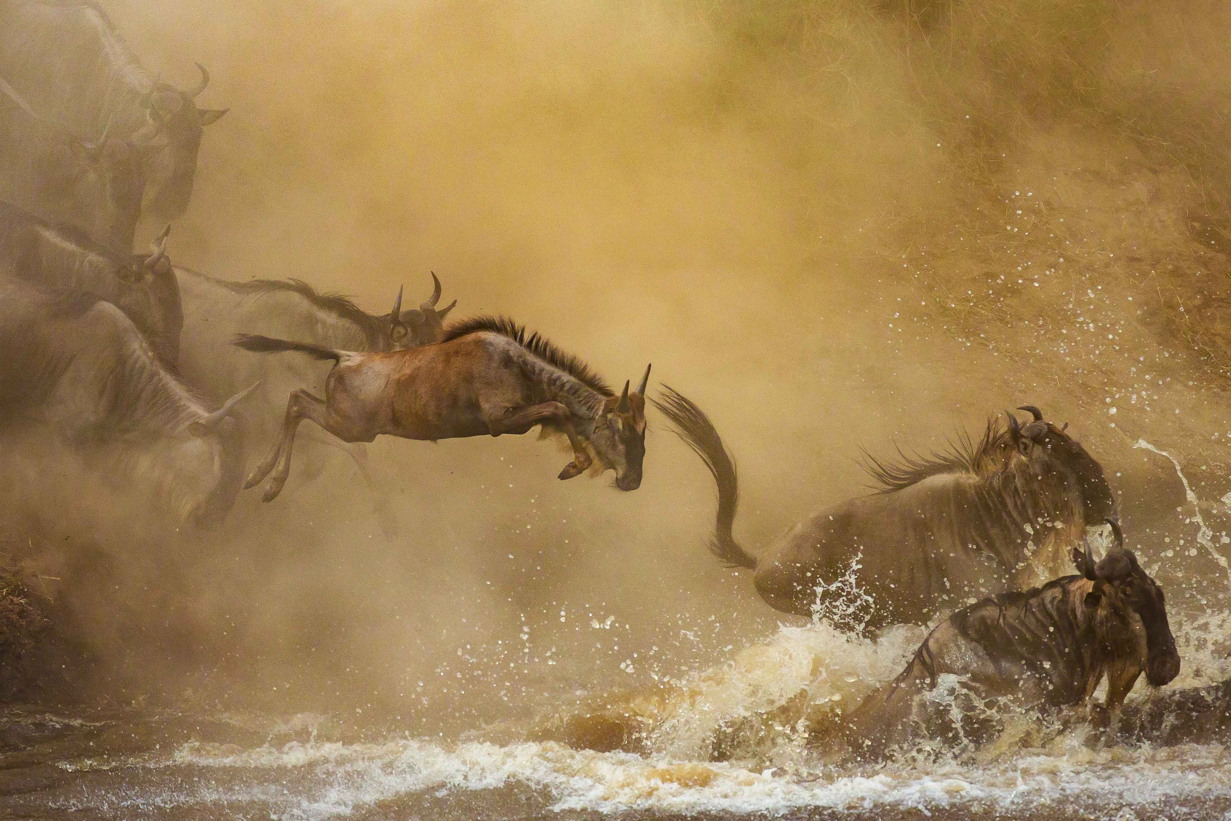 Zanzibar All Inclusive a safari v NP Serengeti a Ngorongoro 29