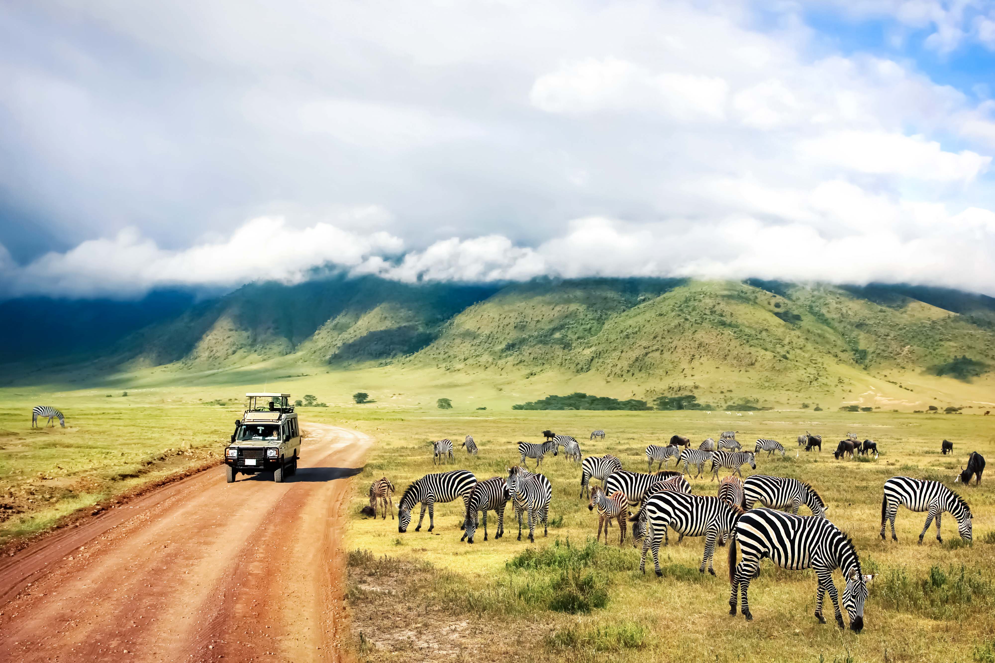 Zanzibar All Inclusive a safari v NP Serengeti a Ngorongoro 30