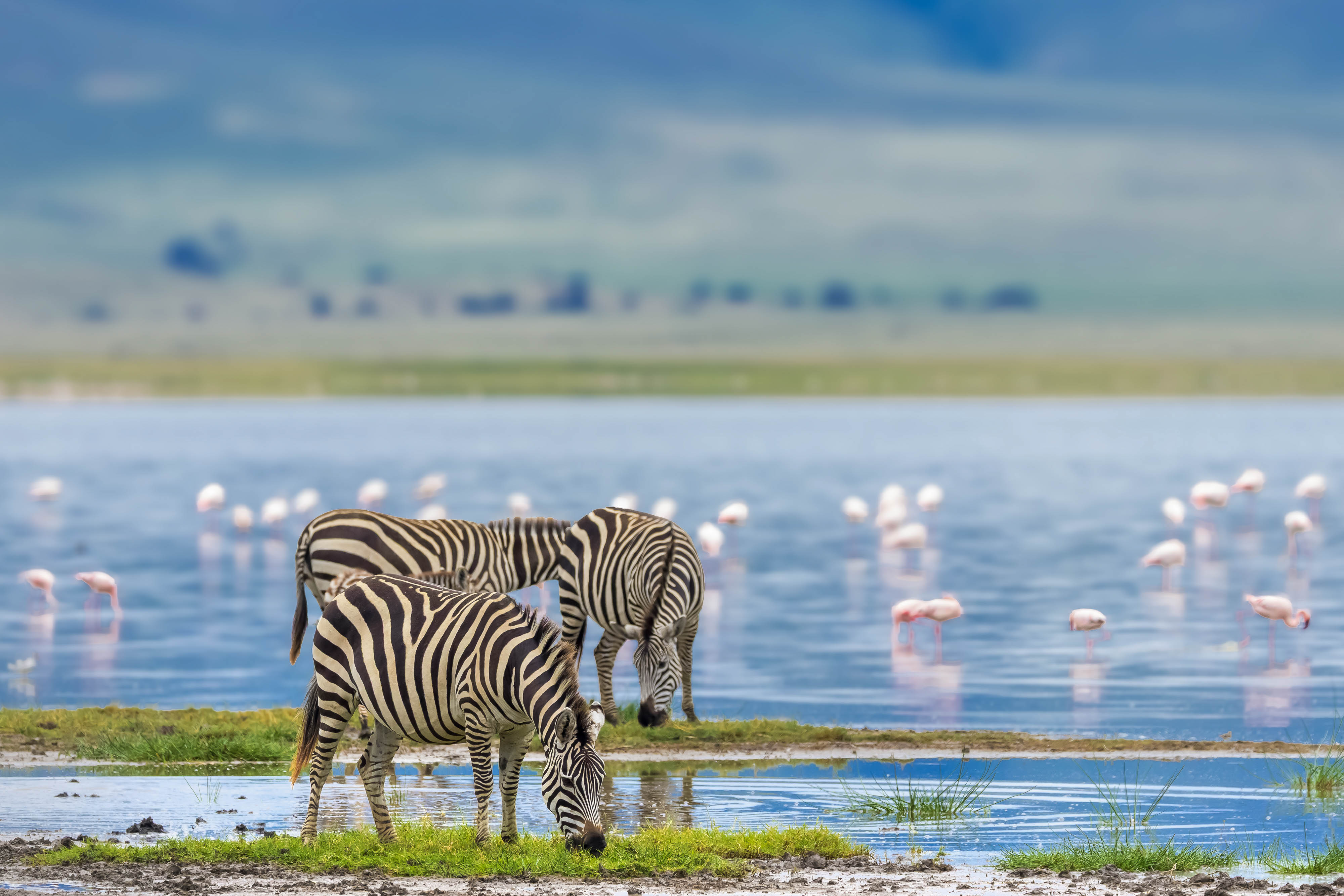 Zanzibar All Inclusive a safari v NP Serengeti a Ngorongoro 43