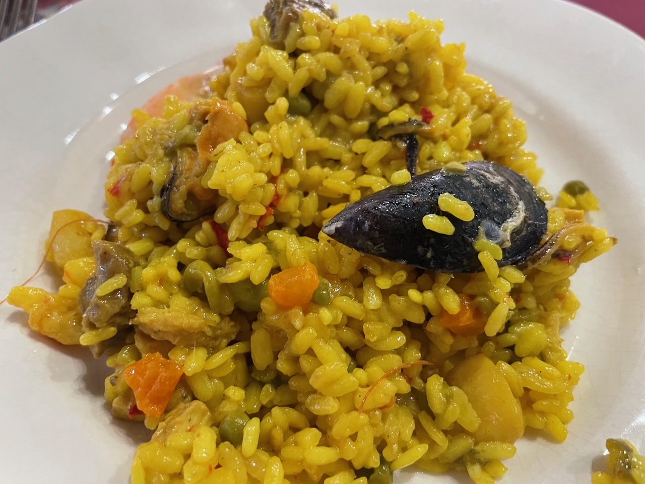 Karneval v Málage 38