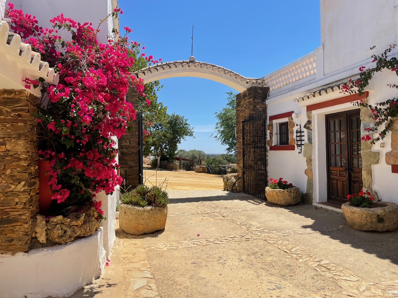 Karneval v Málage 39