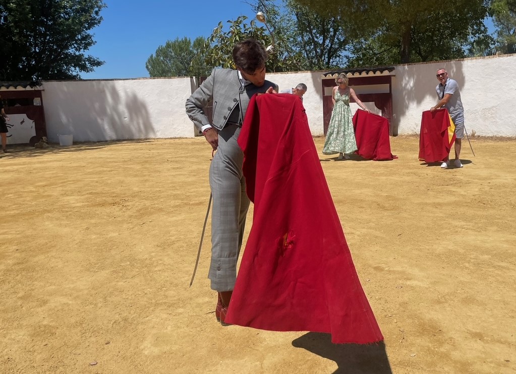 Karneval v Málage 40