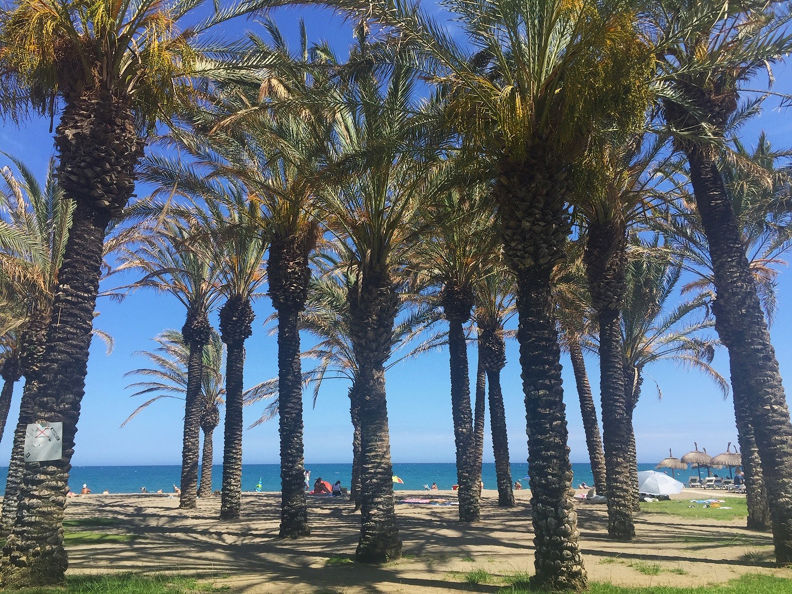 Karneval v Málage 20