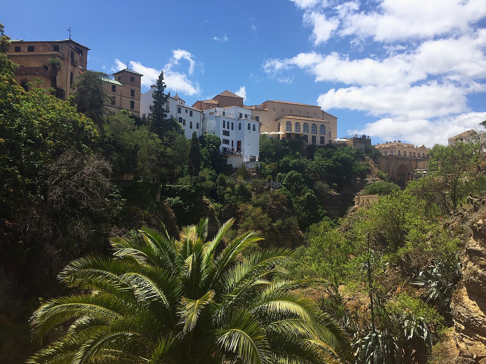 Karneval v Málage 28