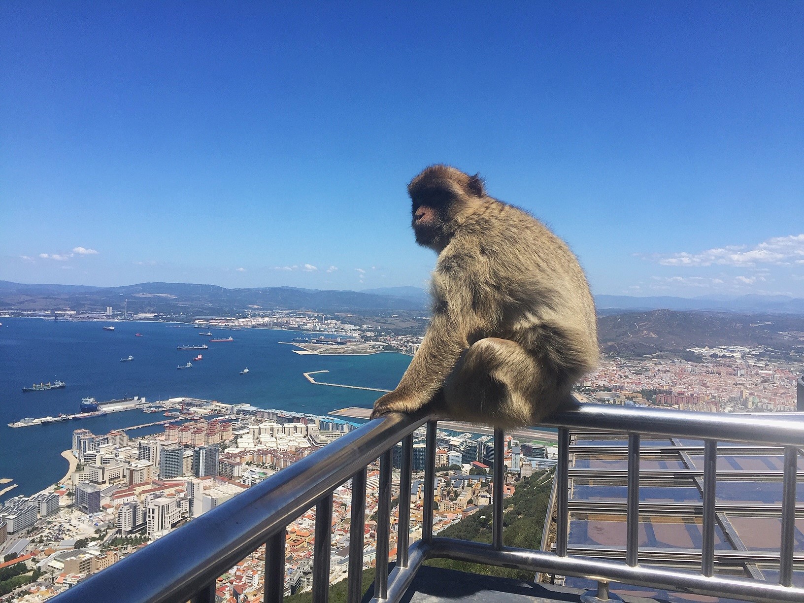 Karneval v Málage 12