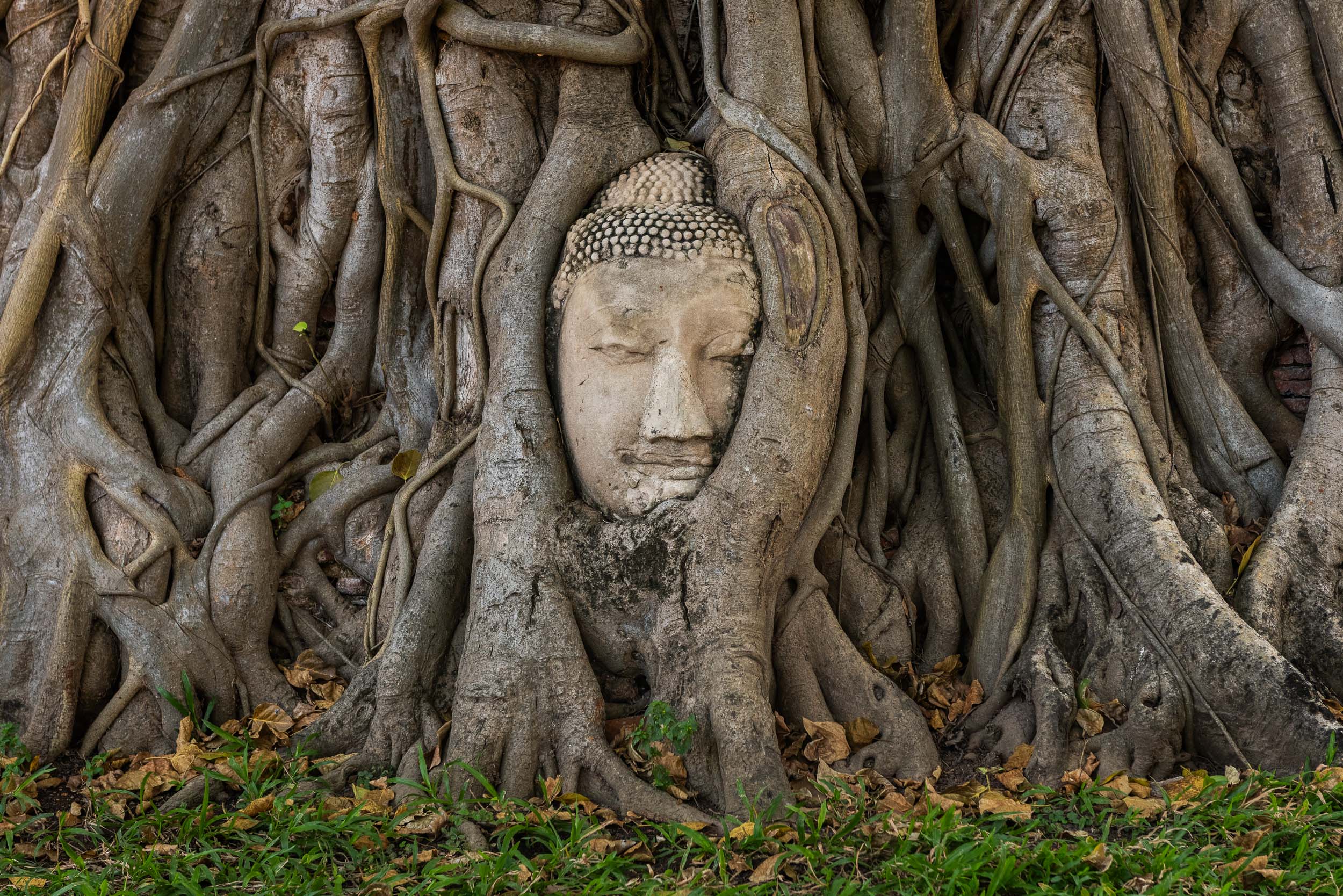 Thajsko - zážitkový Bangkok a malebné Krabi 17