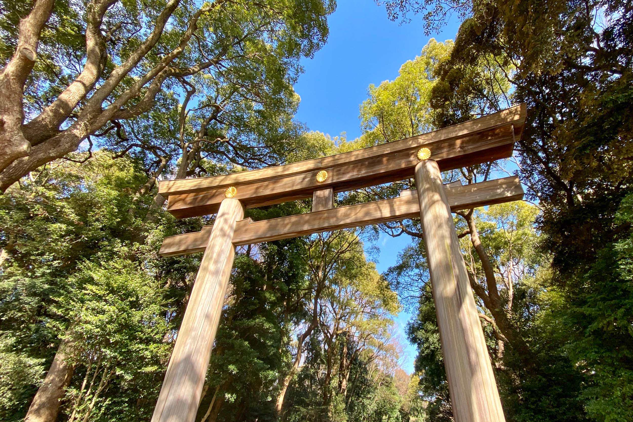 Japonsko v kocke – cesta krajinou vychádzajúceho slnka 14