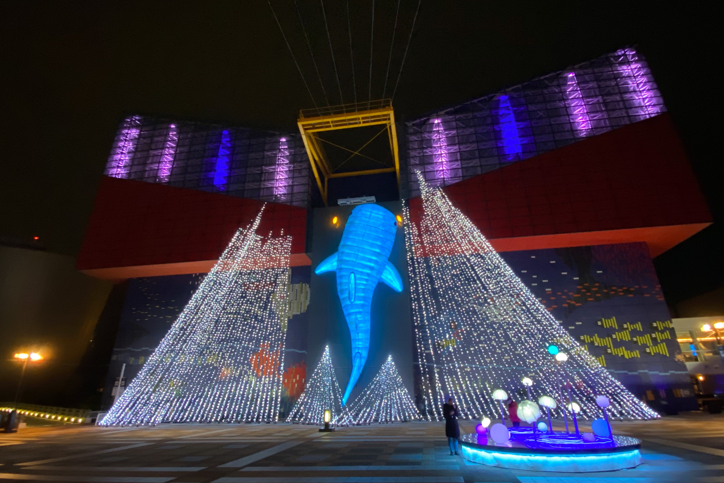 Japonsko v kocke – cesta krajinou vychádzajúceho slnka 56