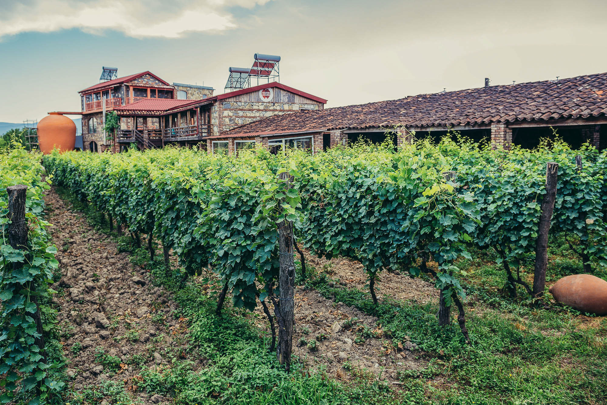 Gruzínsko – príbeh vína pod Kaukazom 57