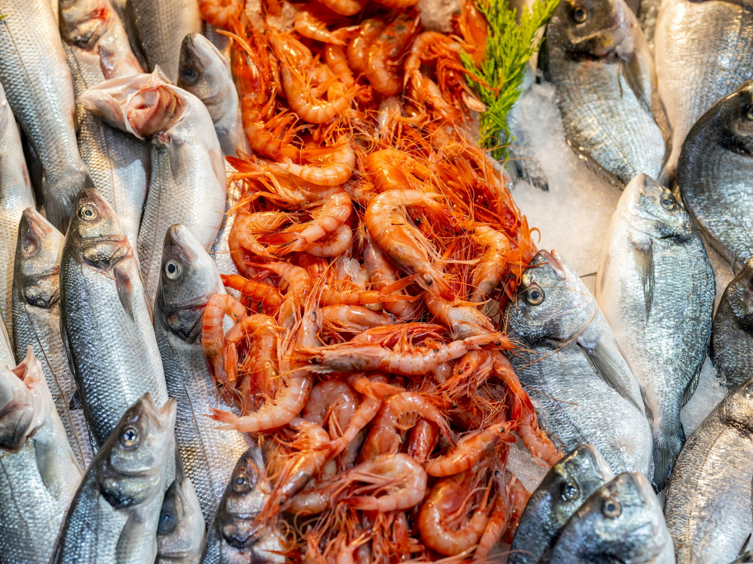 Veľká noc v Dubrovníku 19